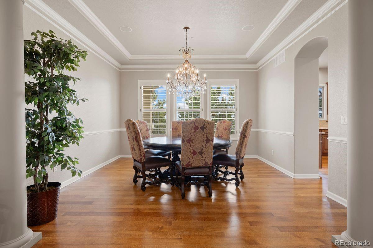 MLS Image #19 for 6258  oxford peak court,castle rock, Colorado