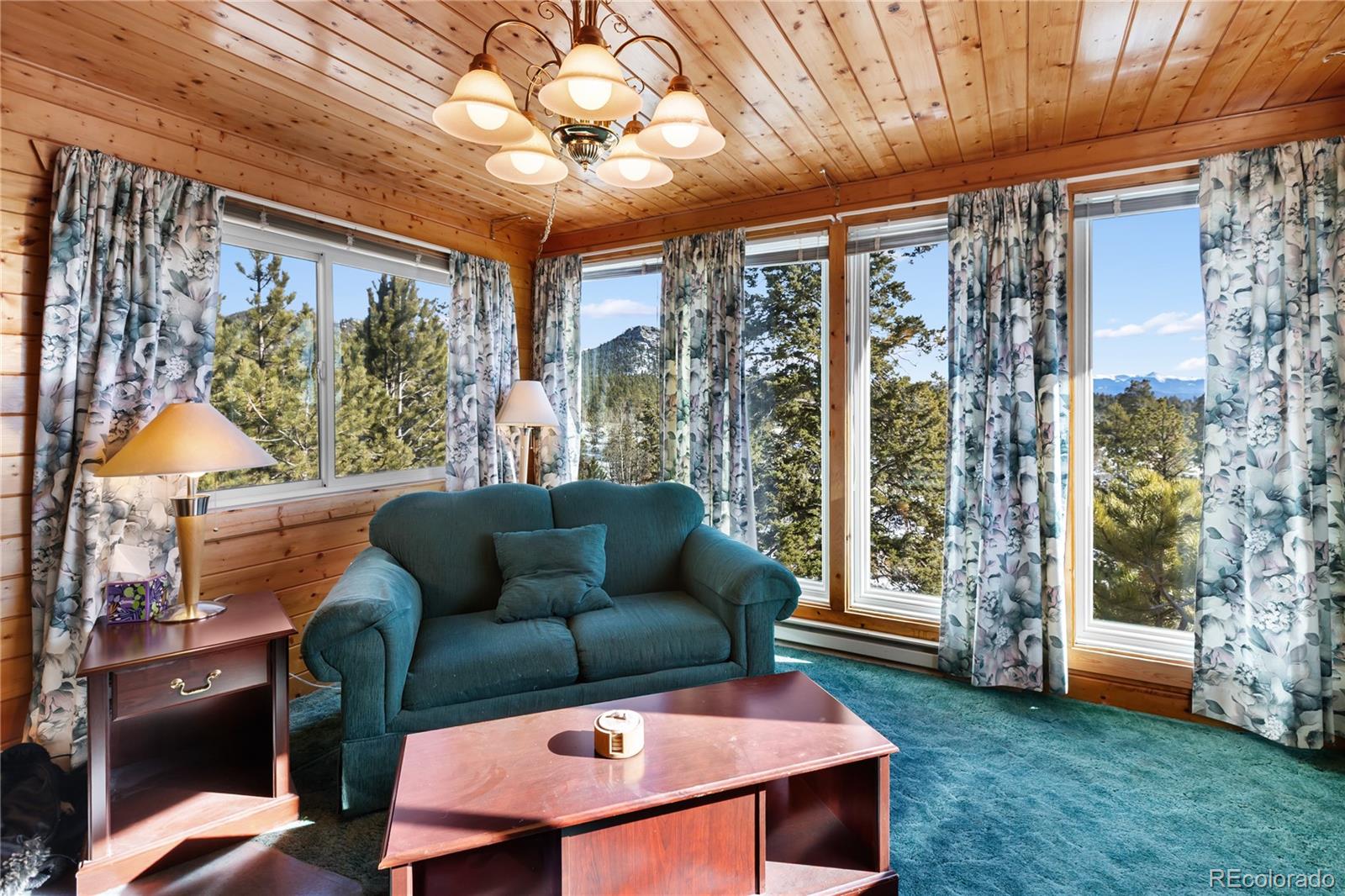 MLS Image #11 for 730  cheyenne creek ,lake george, Colorado