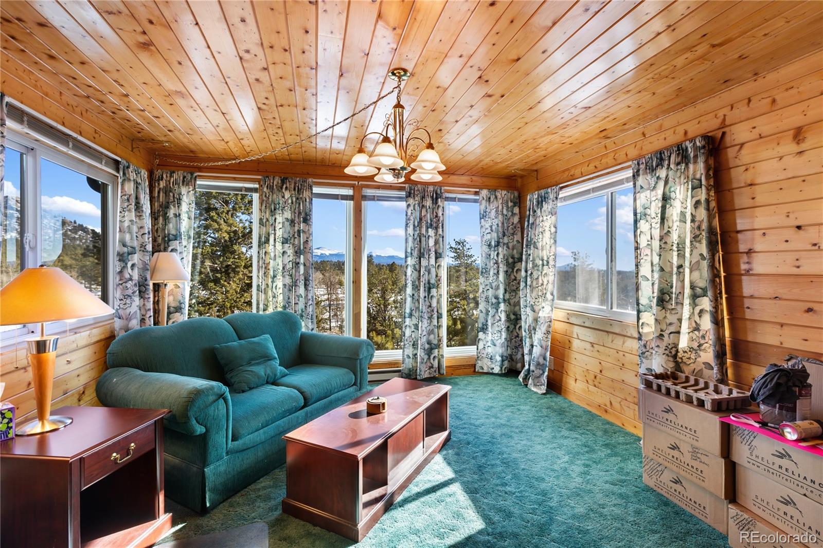 MLS Image #12 for 730  cheyenne creek ,lake george, Colorado