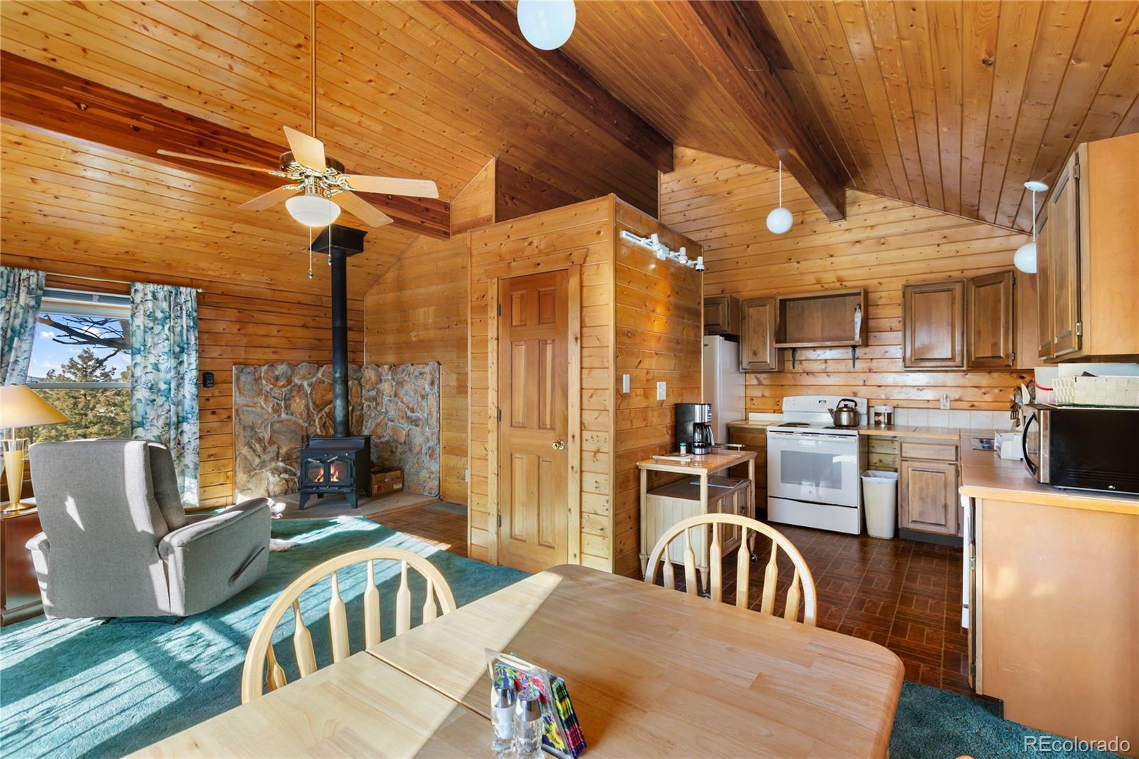 MLS Image #15 for 730  cheyenne creek ,lake george, Colorado