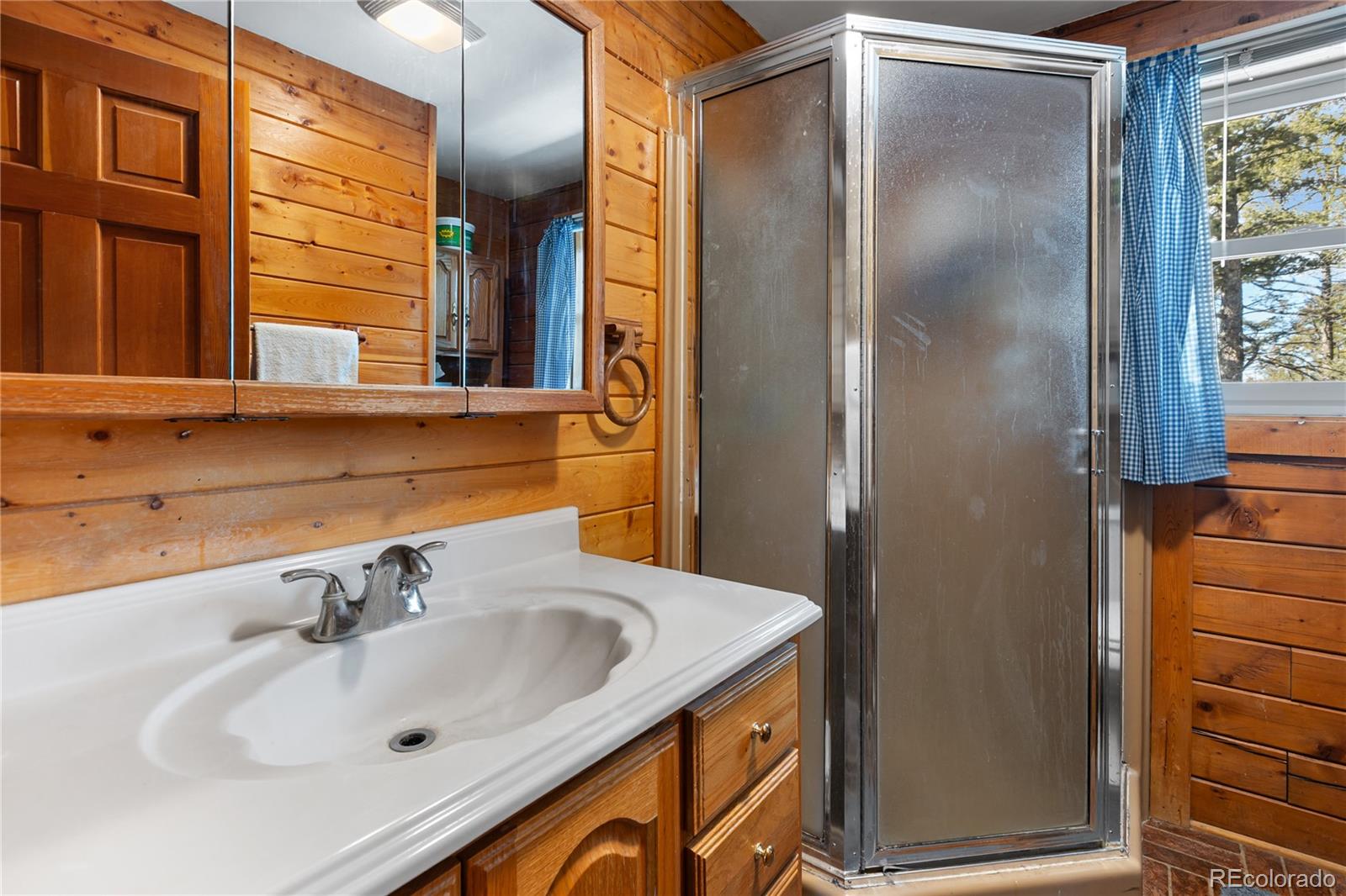 MLS Image #17 for 730  cheyenne creek ,lake george, Colorado