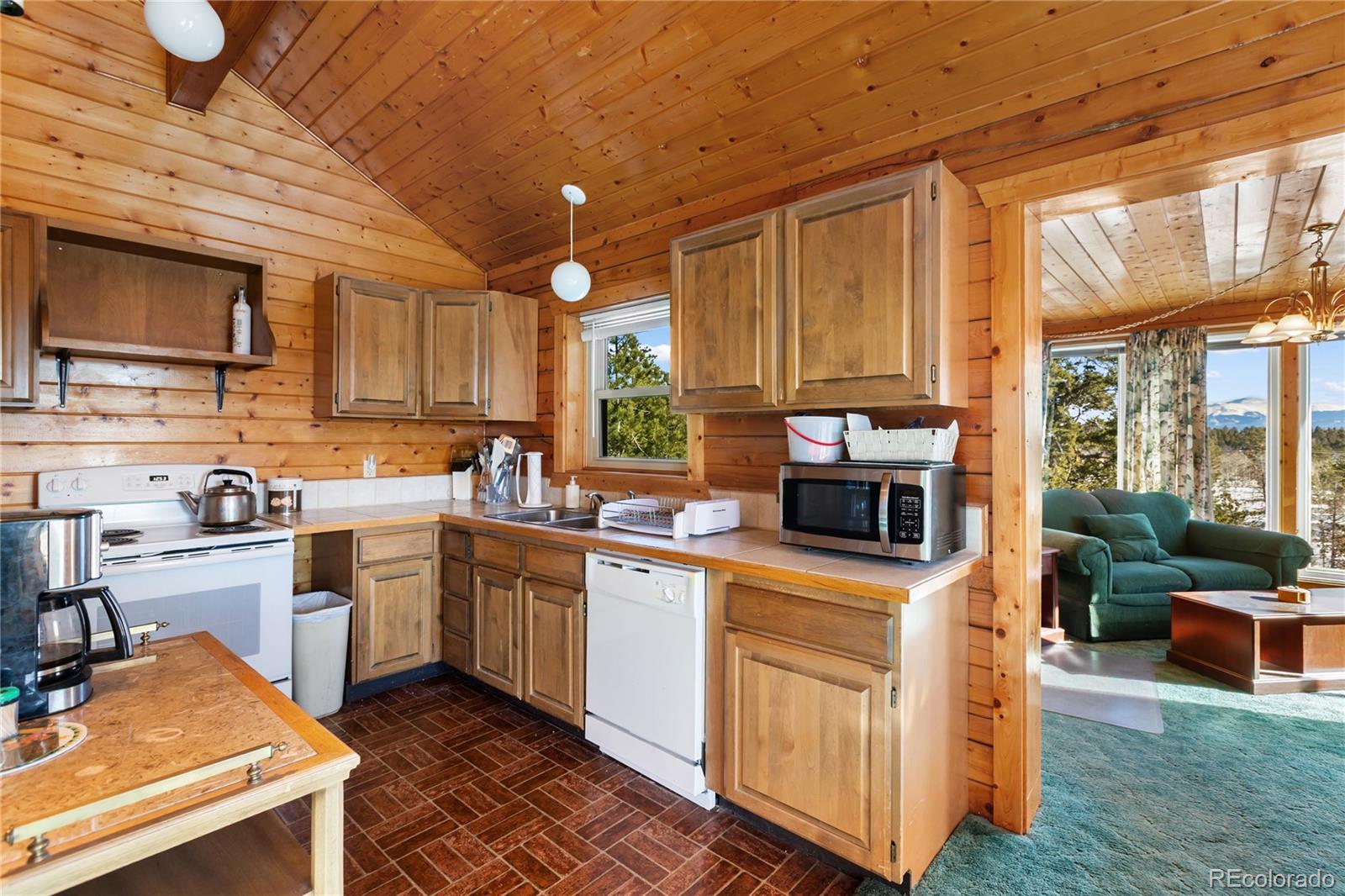 MLS Image #19 for 730  cheyenne creek ,lake george, Colorado