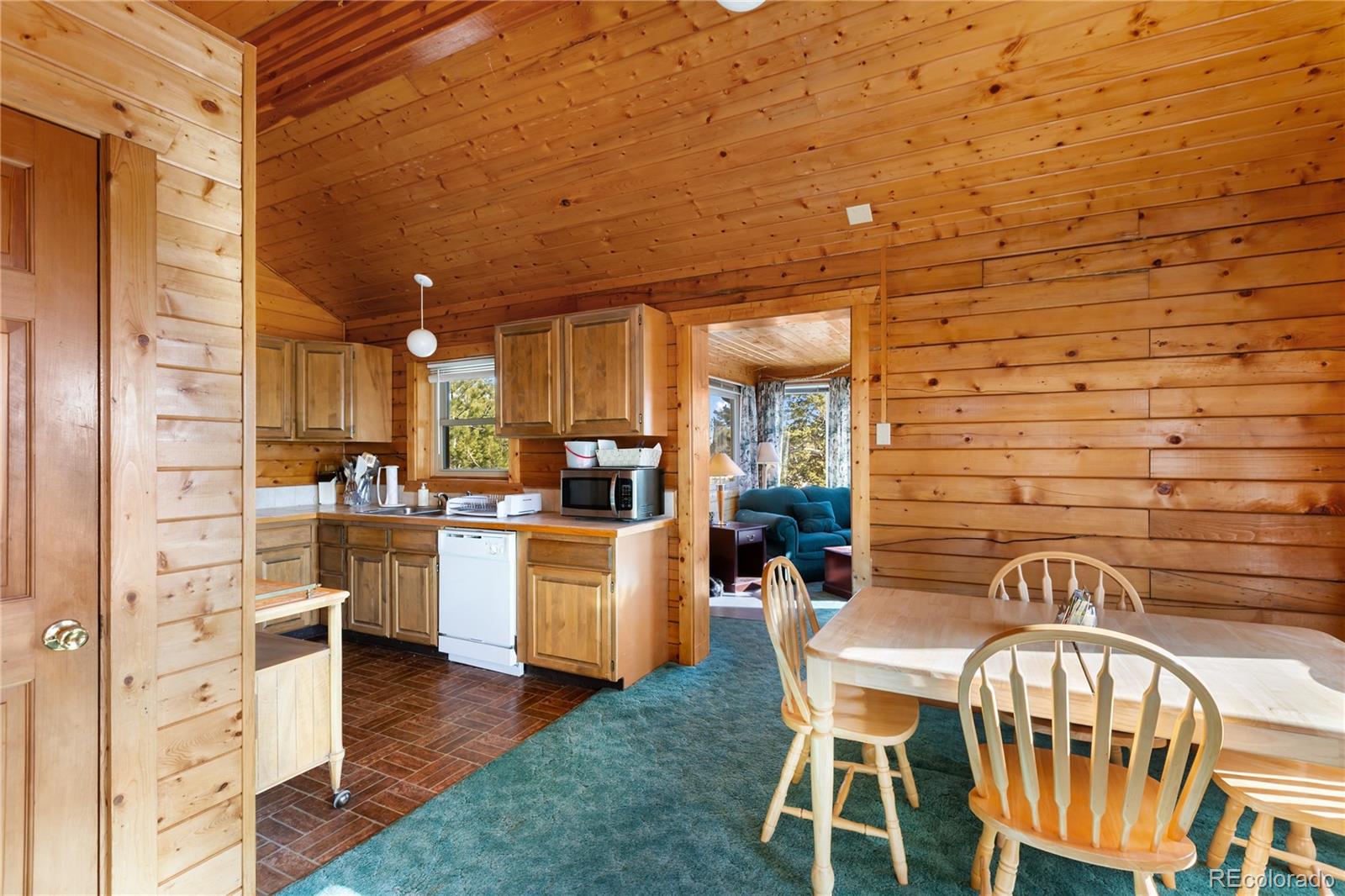 MLS Image #20 for 730  cheyenne creek ,lake george, Colorado