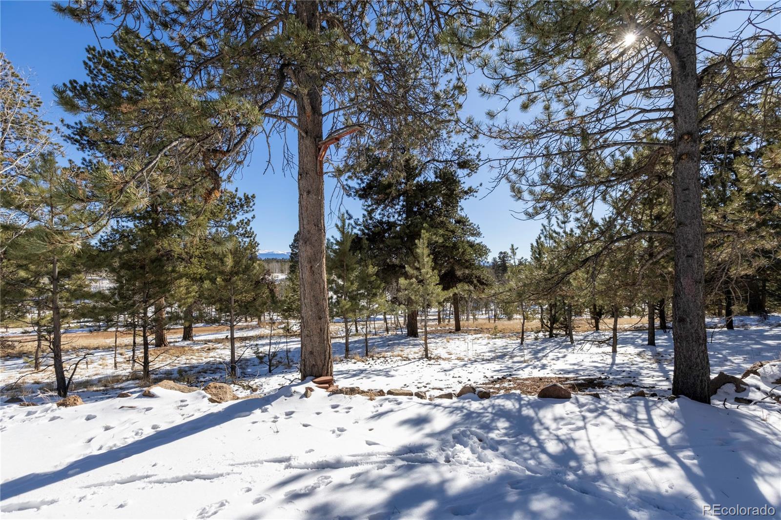 MLS Image #33 for 730  cheyenne creek ,lake george, Colorado