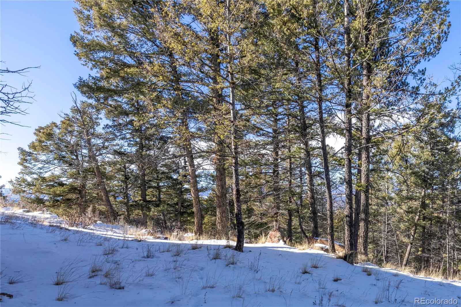MLS Image #34 for 730  cheyenne creek ,lake george, Colorado