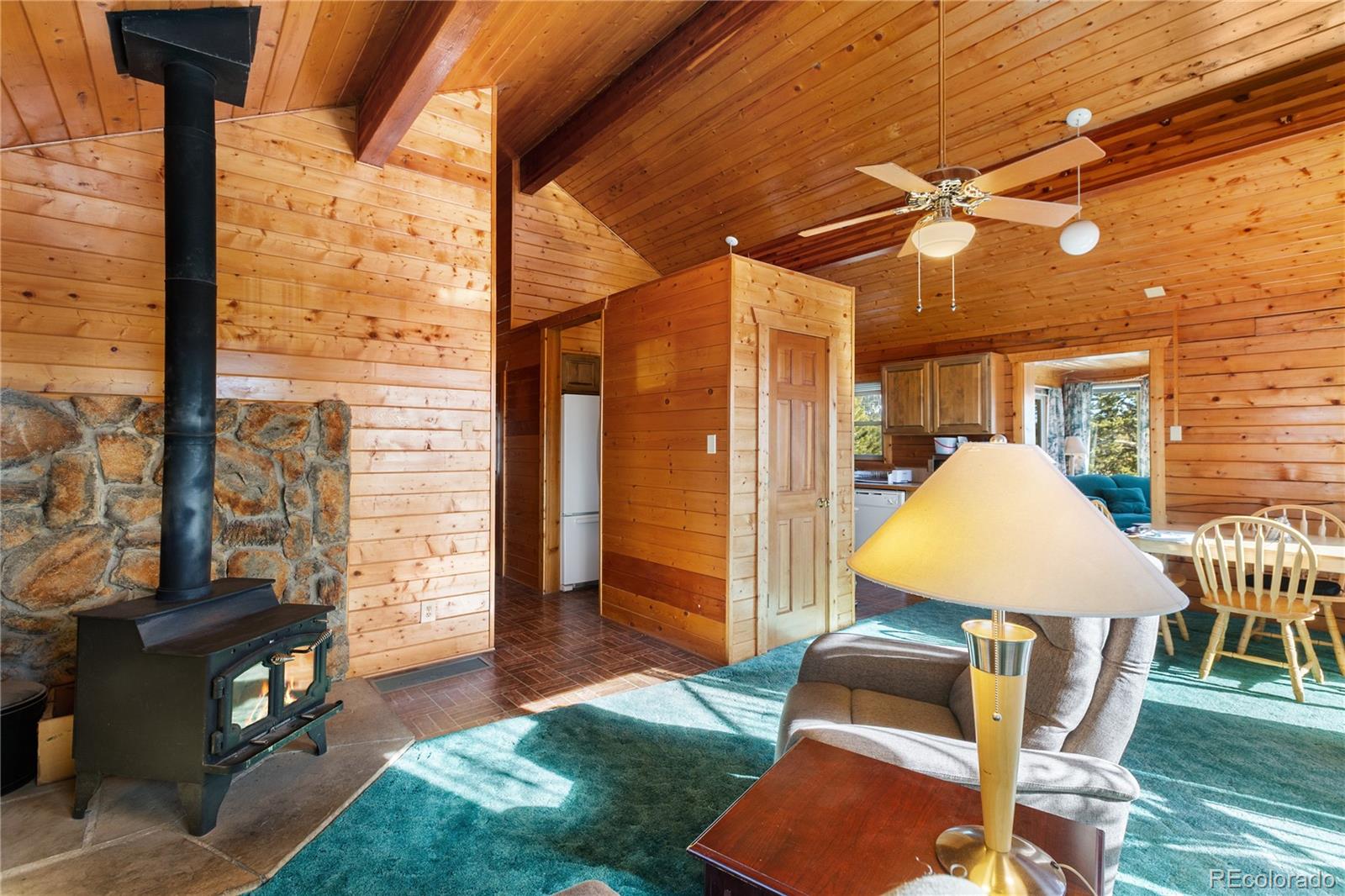 MLS Image #6 for 730  cheyenne creek ,lake george, Colorado