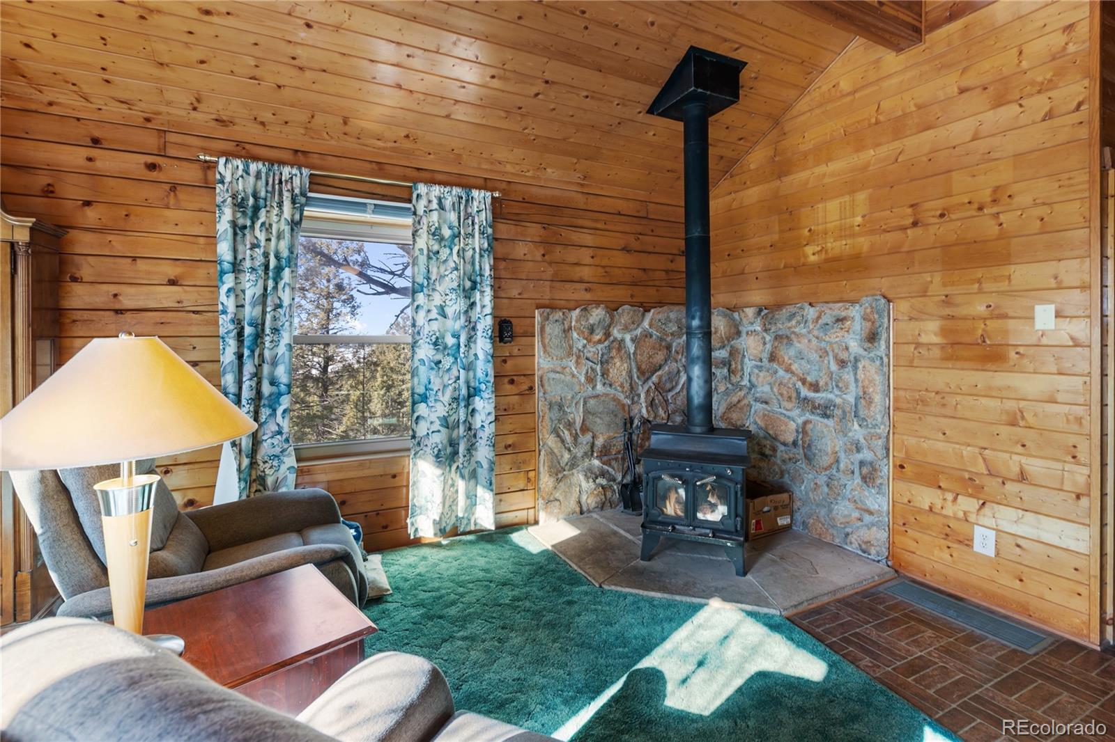 MLS Image #7 for 730  cheyenne creek ,lake george, Colorado
