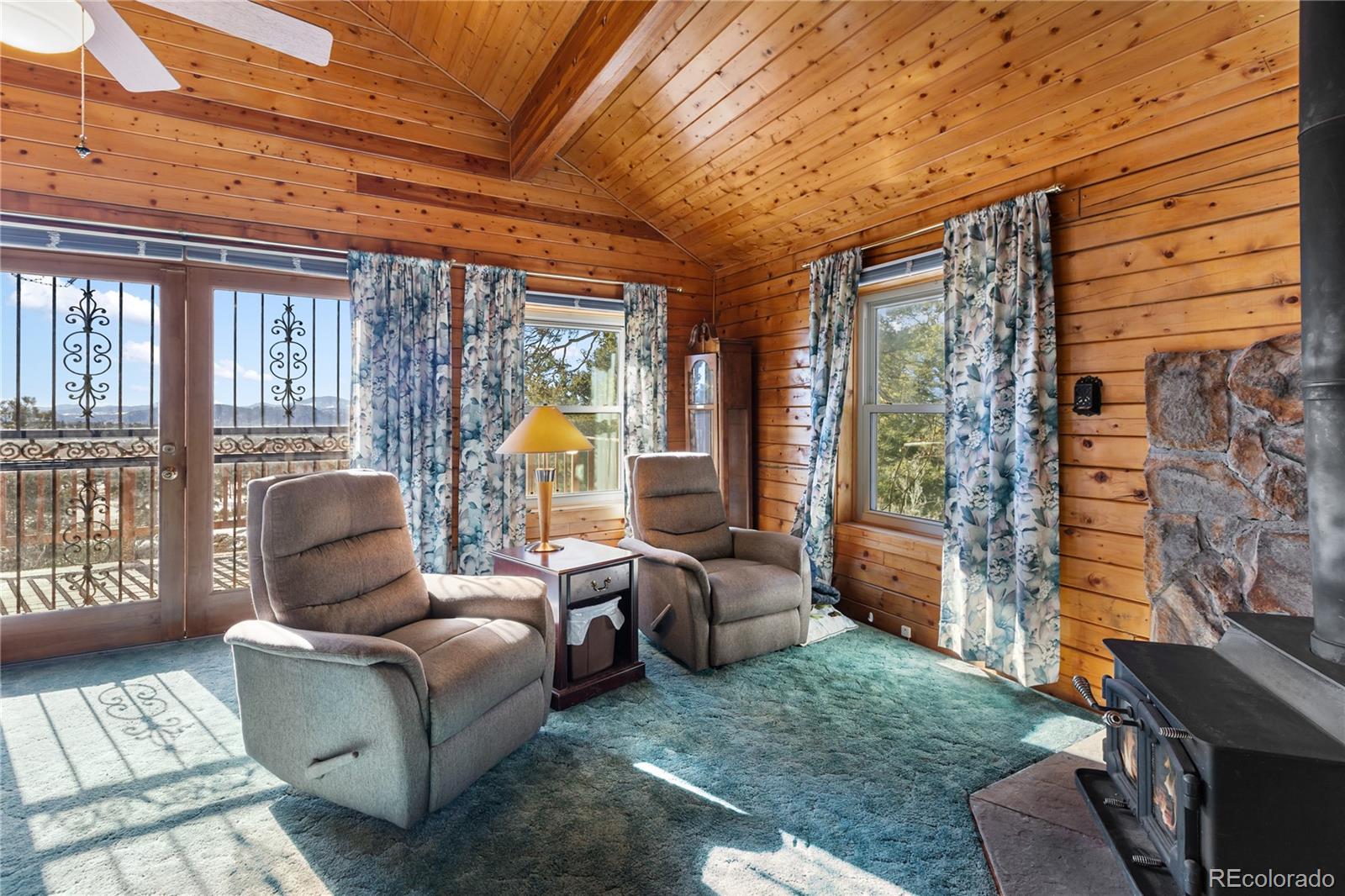 MLS Image #8 for 730  cheyenne creek ,lake george, Colorado