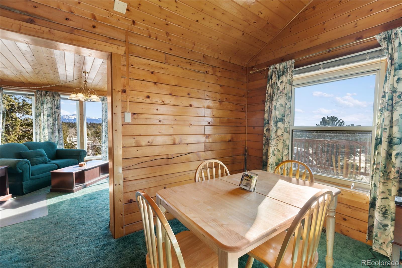 MLS Image #9 for 730  cheyenne creek ,lake george, Colorado
