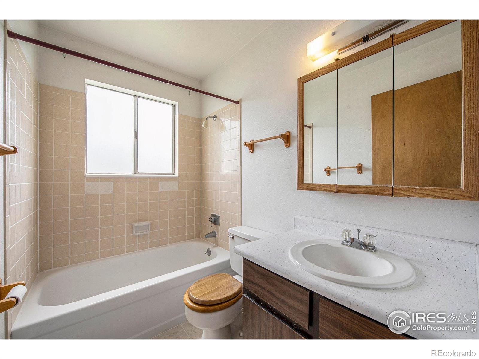MLS Image #11 for 315  indiana avenue,berthoud, Colorado