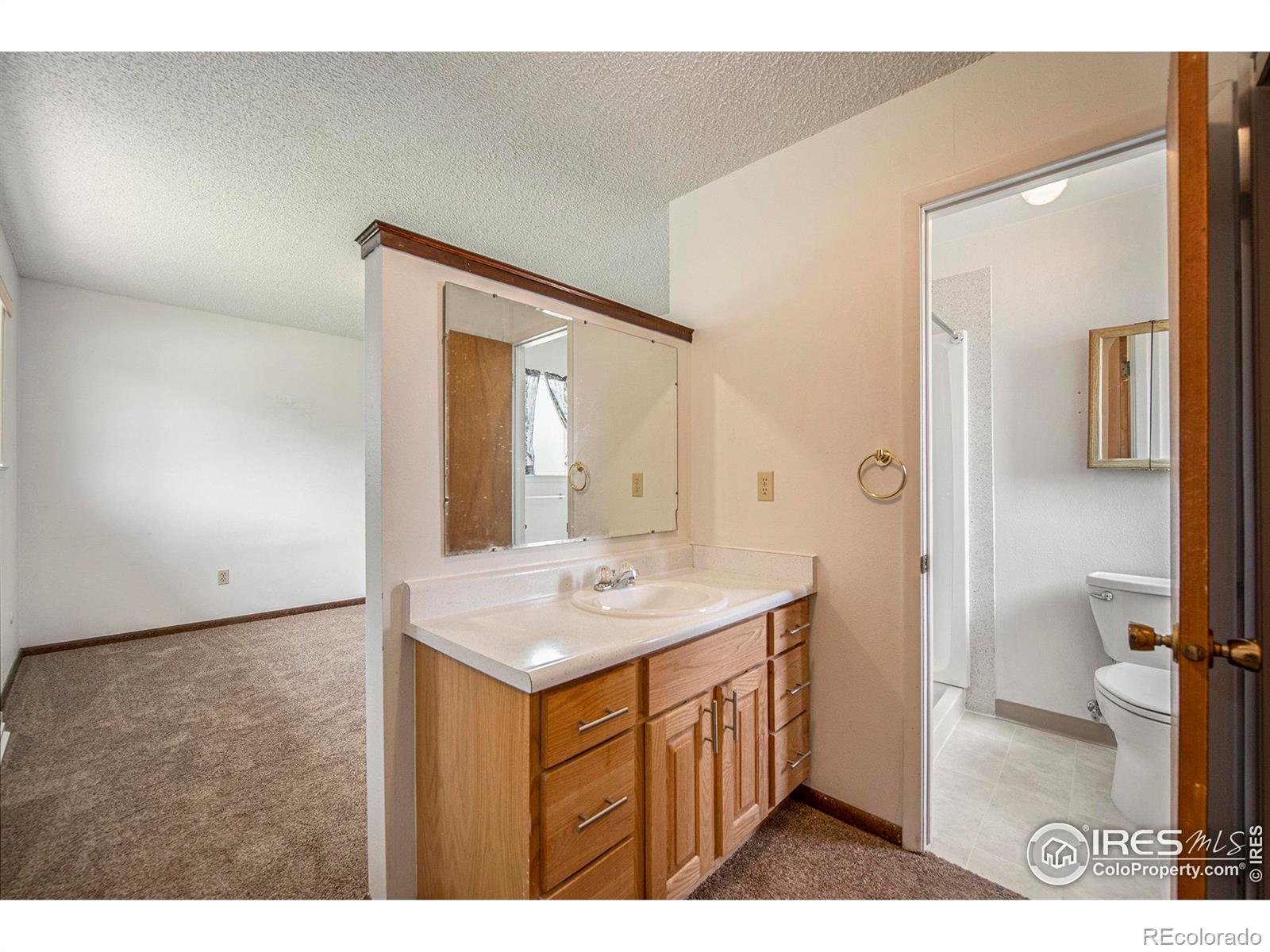 MLS Image #14 for 315  indiana avenue,berthoud, Colorado