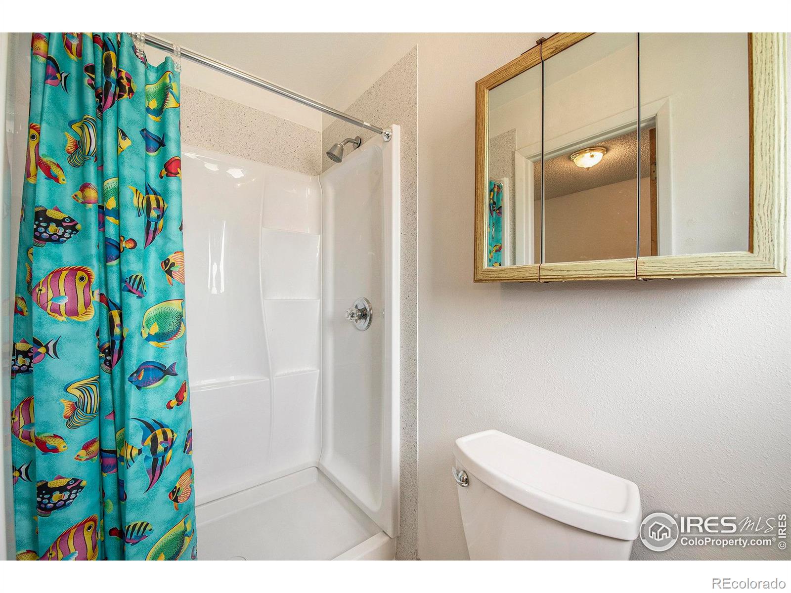 MLS Image #15 for 315  indiana avenue,berthoud, Colorado