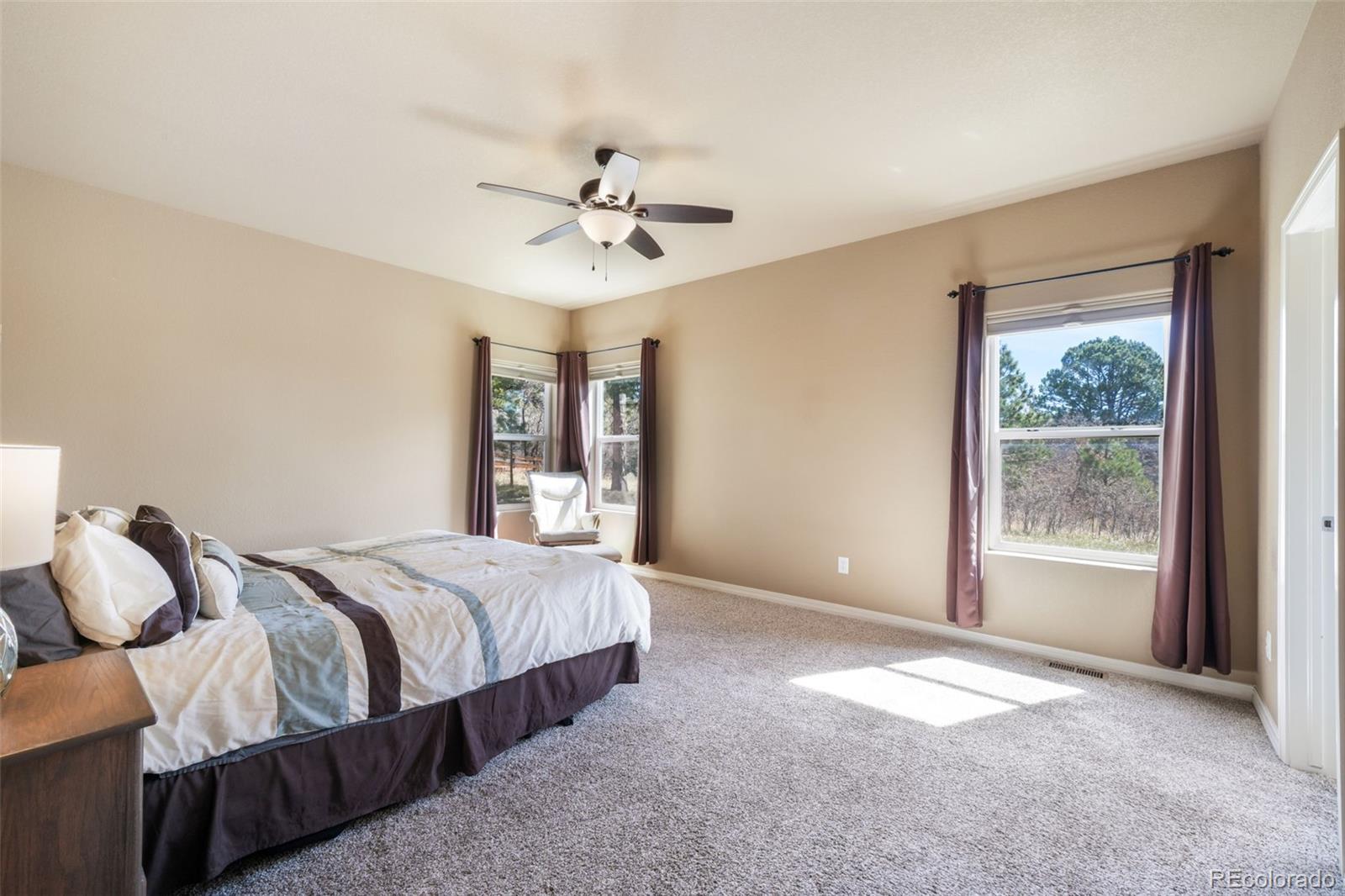 MLS Image #13 for 19793  lindenmere drive,monument, Colorado