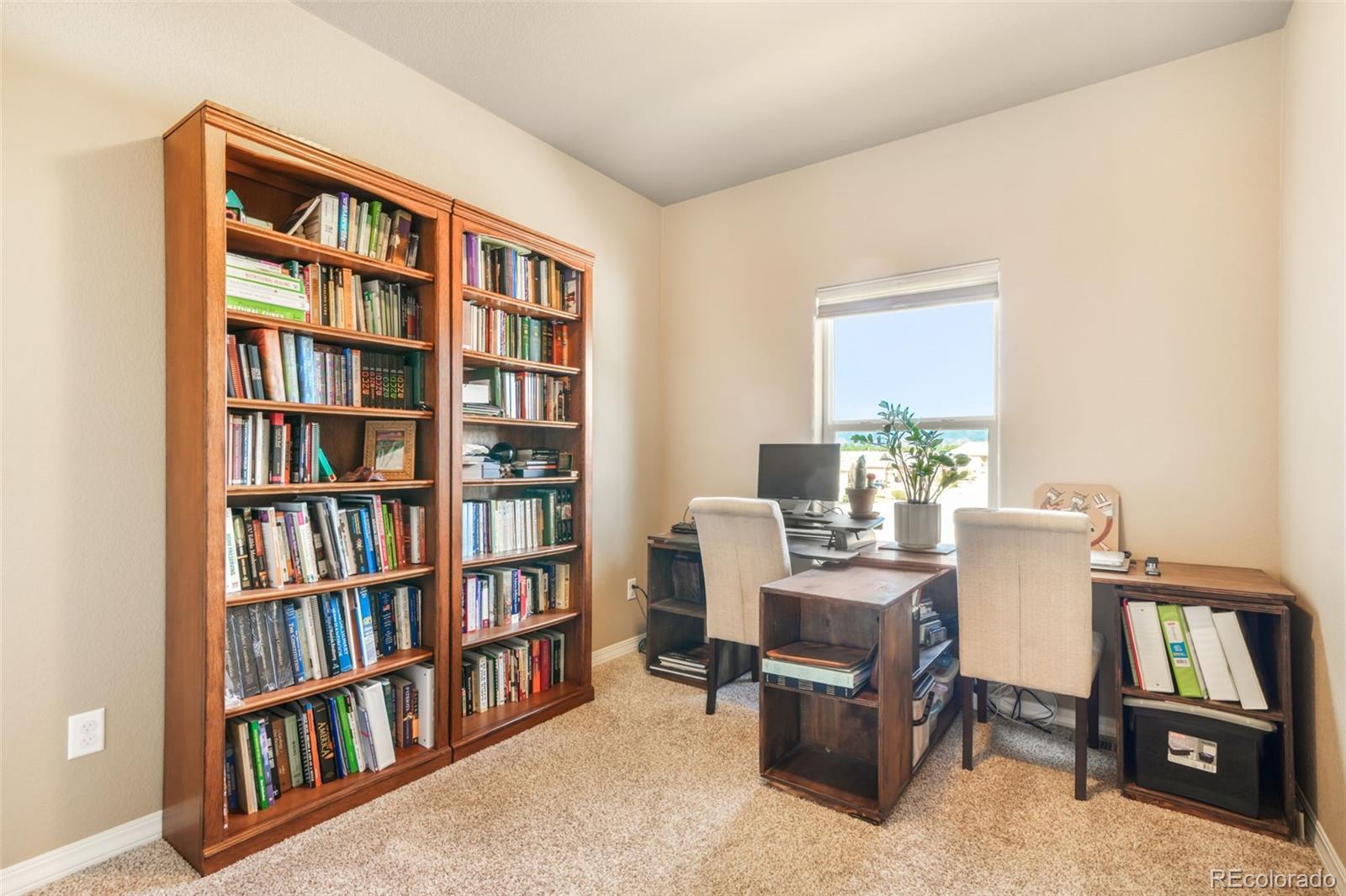 MLS Image #24 for 19793  lindenmere drive,monument, Colorado