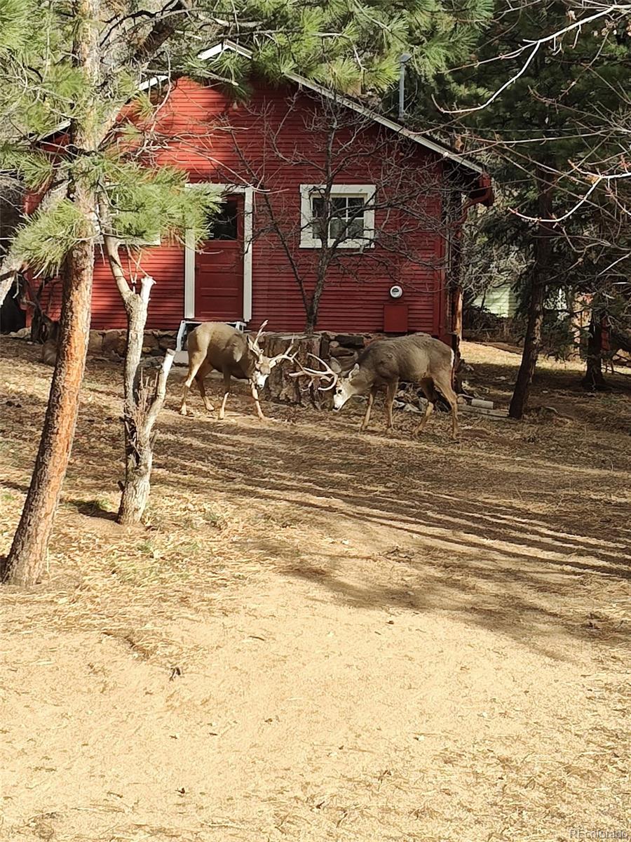 MLS Image #45 for 23094  oh-kay road,indian hills, Colorado