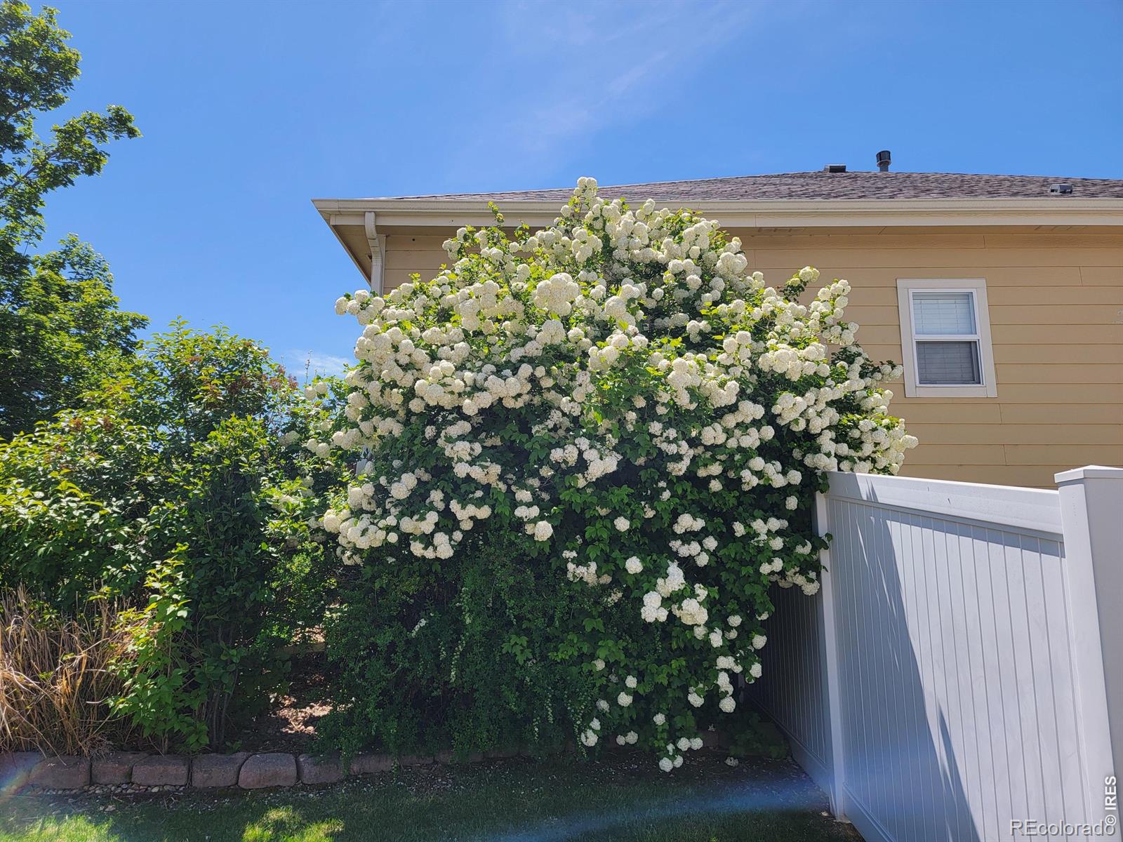 MLS Image #49 for 701  62nd ave ct,greeley, Colorado