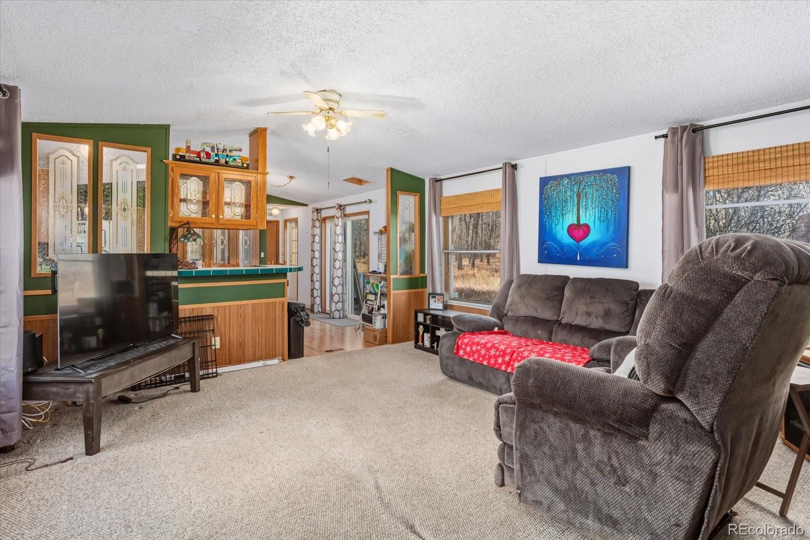 MLS Image #10 for 611 w main street,buena vista, Colorado