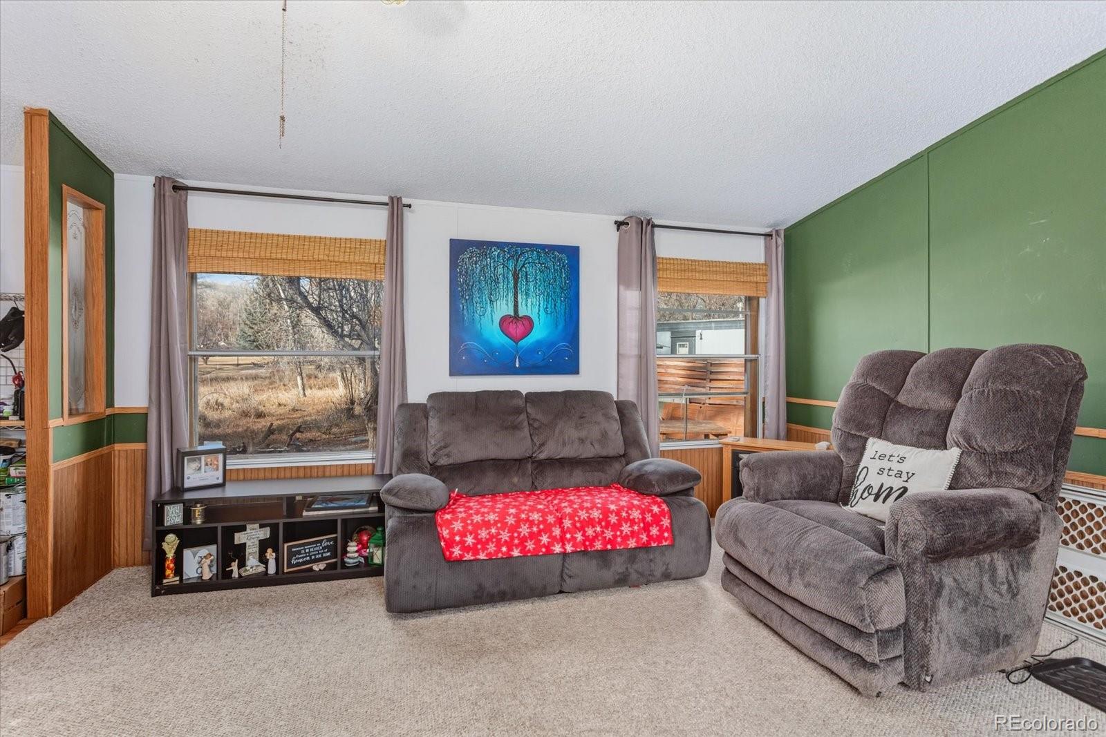 MLS Image #12 for 611 w main street,buena vista, Colorado