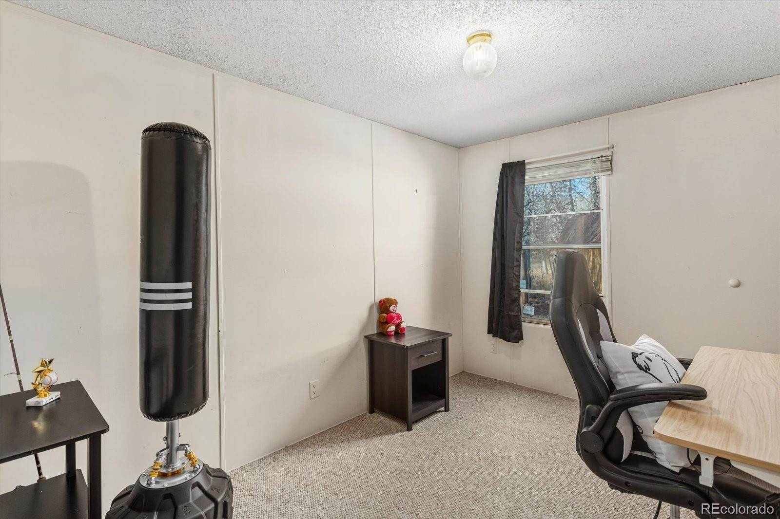 MLS Image #25 for 611 w main street,buena vista, Colorado