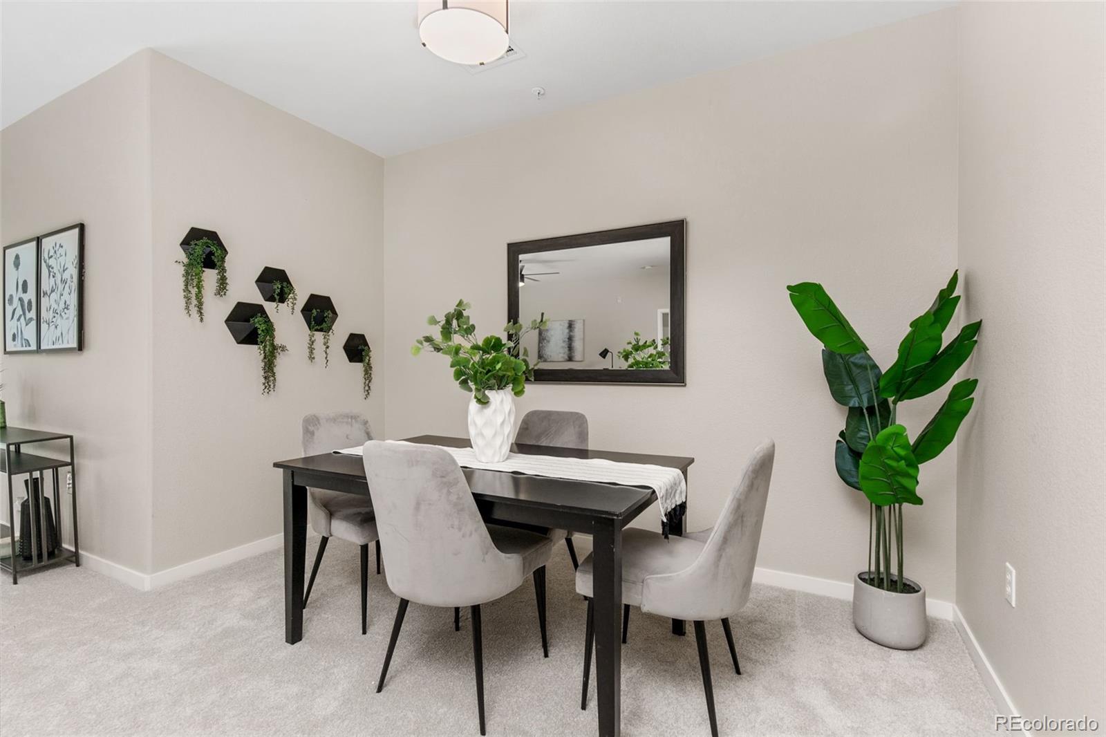 MLS Image #6 for 13456  via varra ,broomfield, Colorado