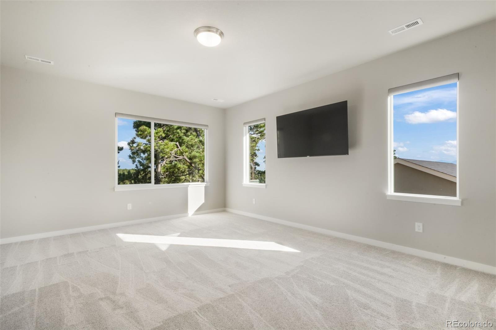 MLS Image #28 for 16267  thunder cat way,monument, Colorado