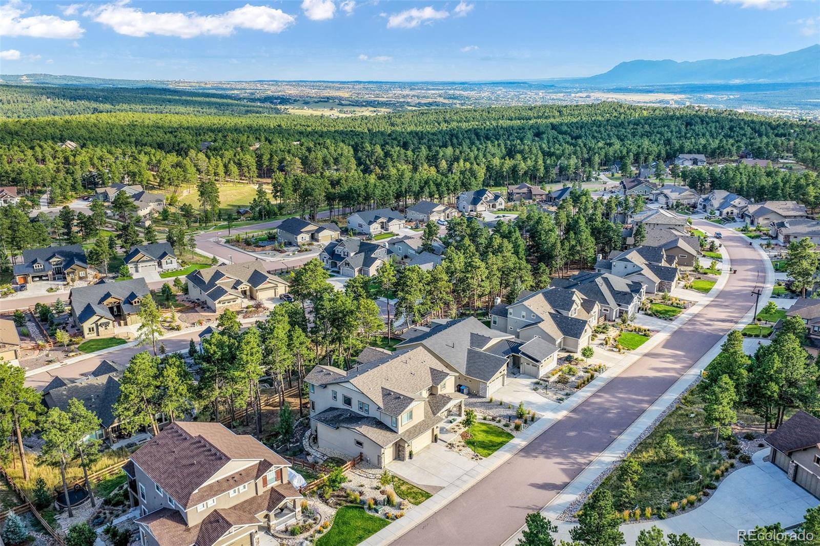 MLS Image #48 for 16267  thunder cat way,monument, Colorado