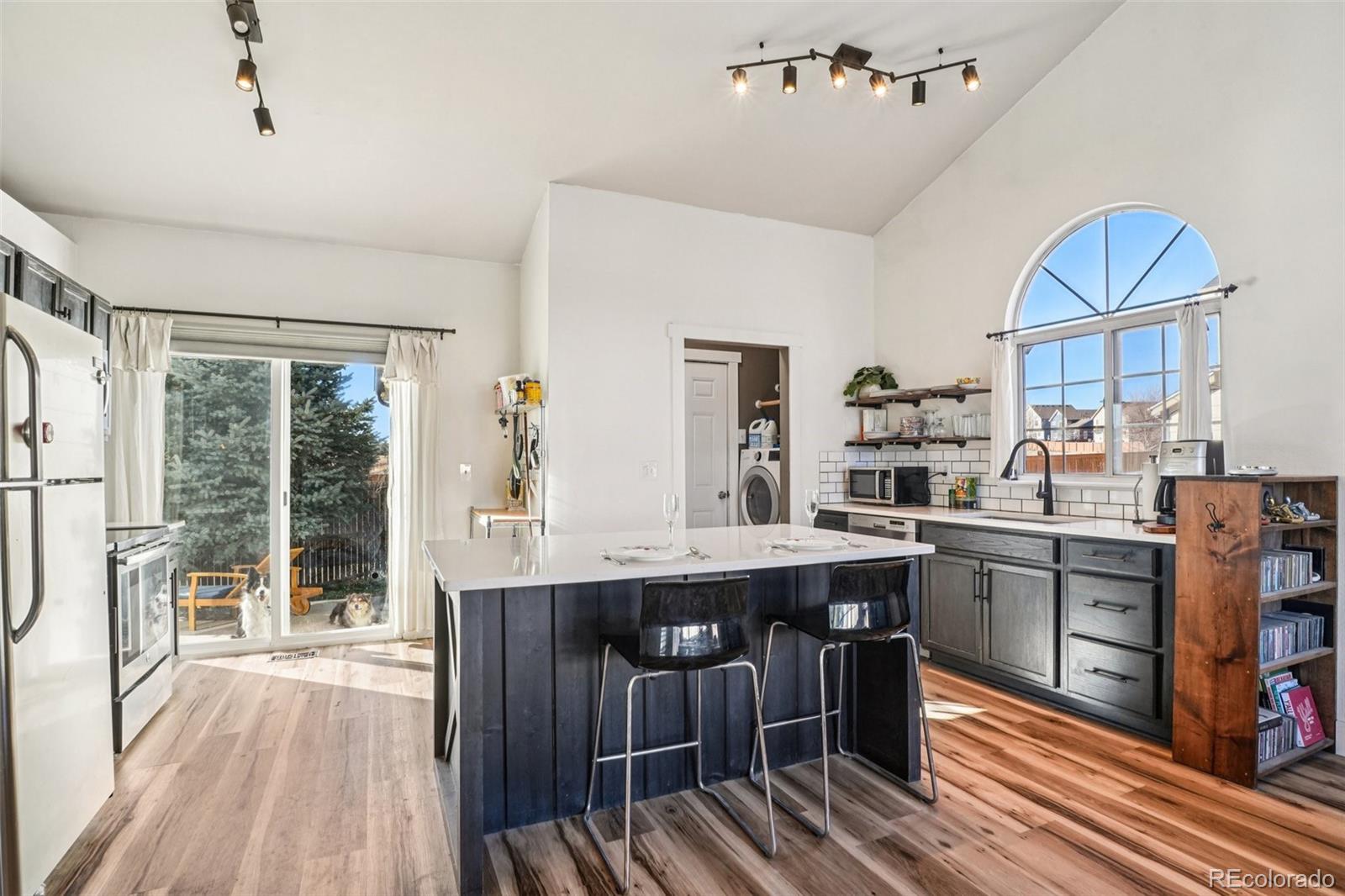 MLS Image #9 for 207 s quicksilver avenue,castle rock, Colorado