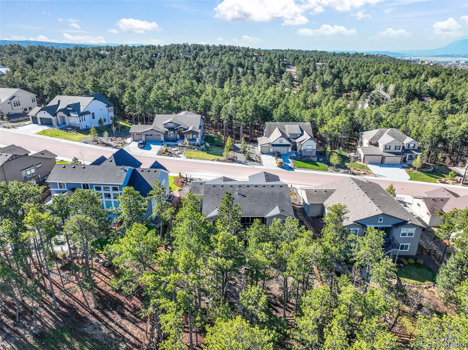 MLS Image #43 for 1004  tree bark terrace,monument, Colorado