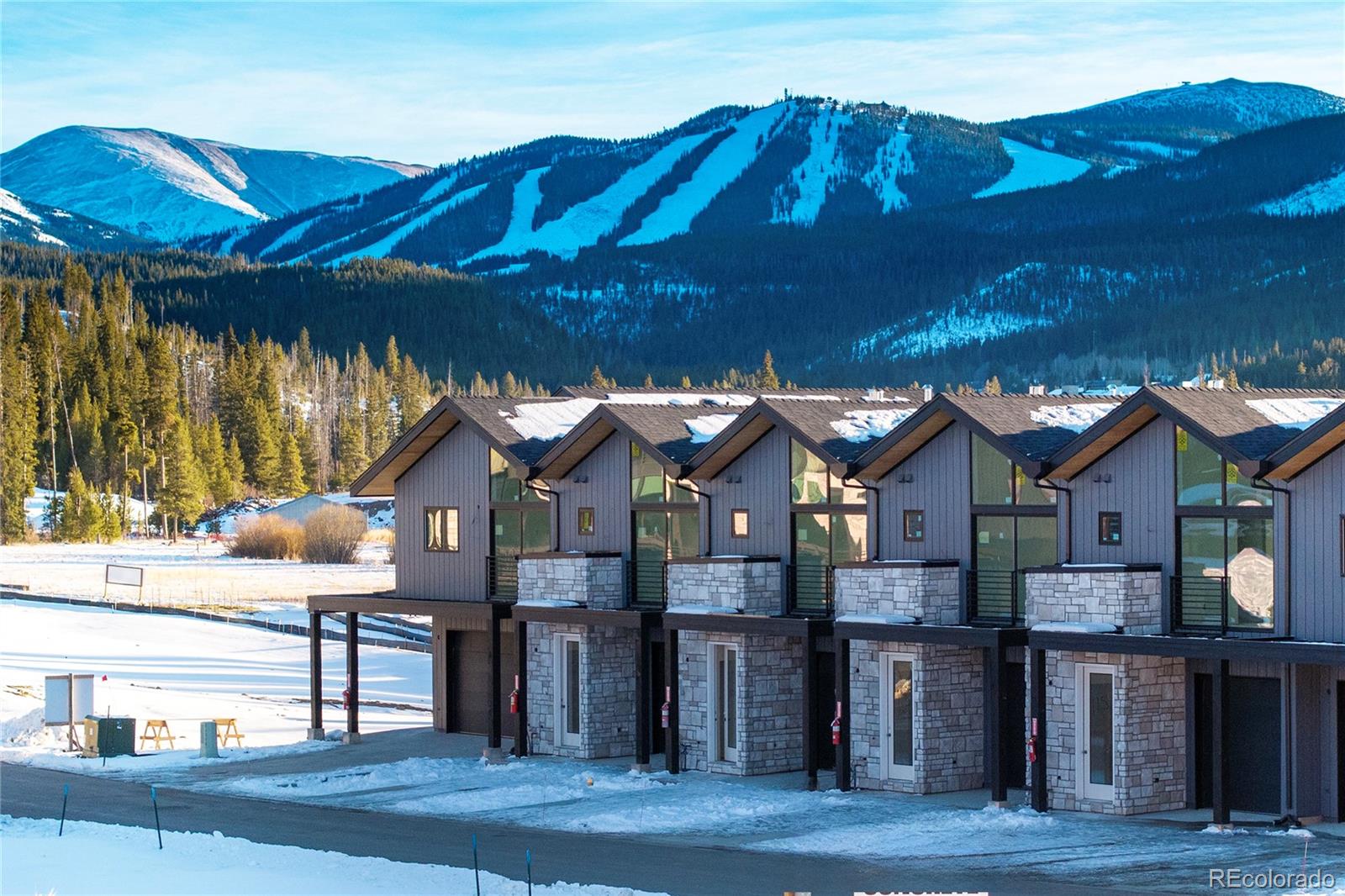 MLS Image #6 for 101  wheeler road,winter park, Colorado