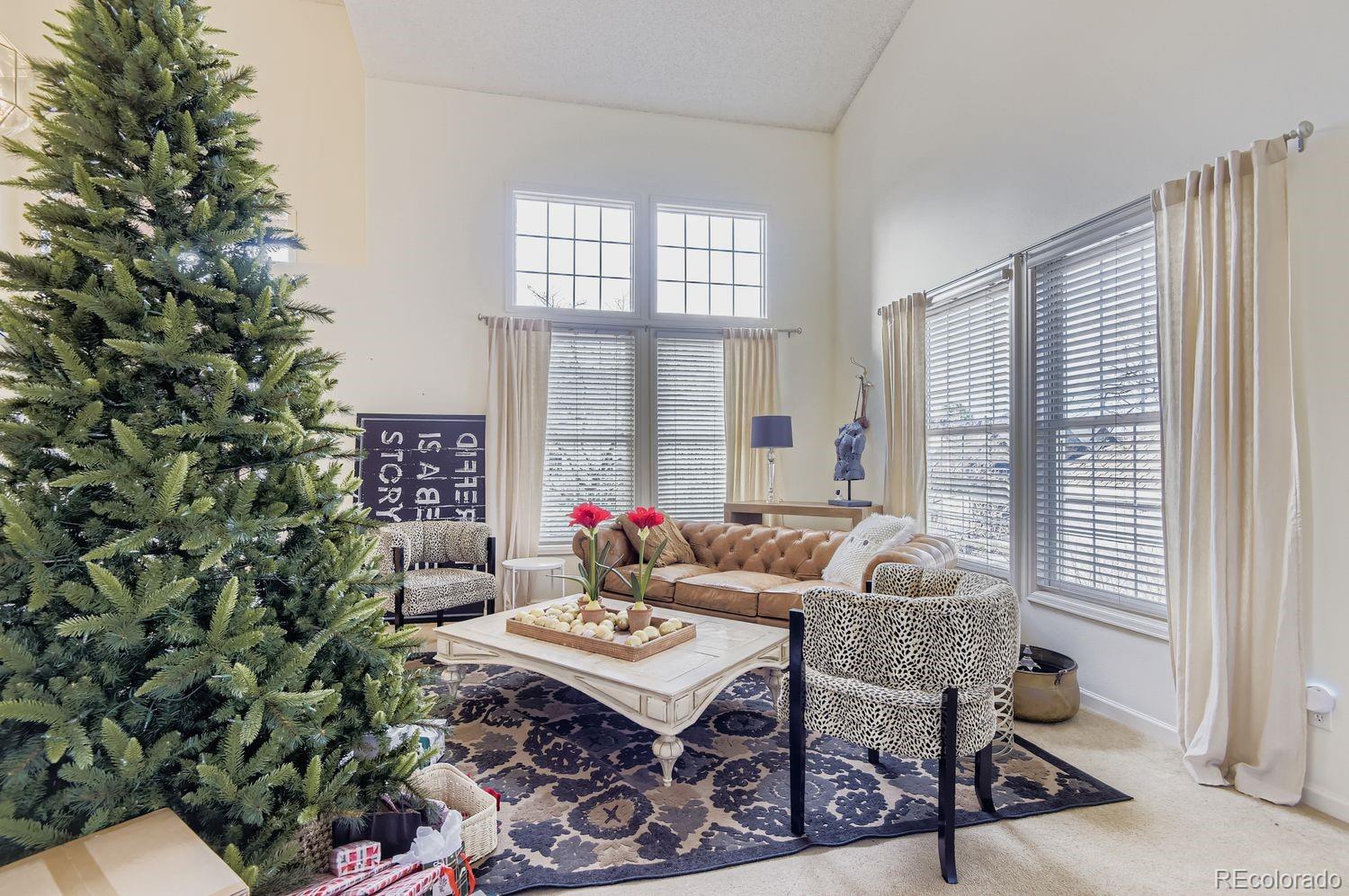 MLS Image #13 for 9603  chesapeake street,highlands ranch, Colorado
