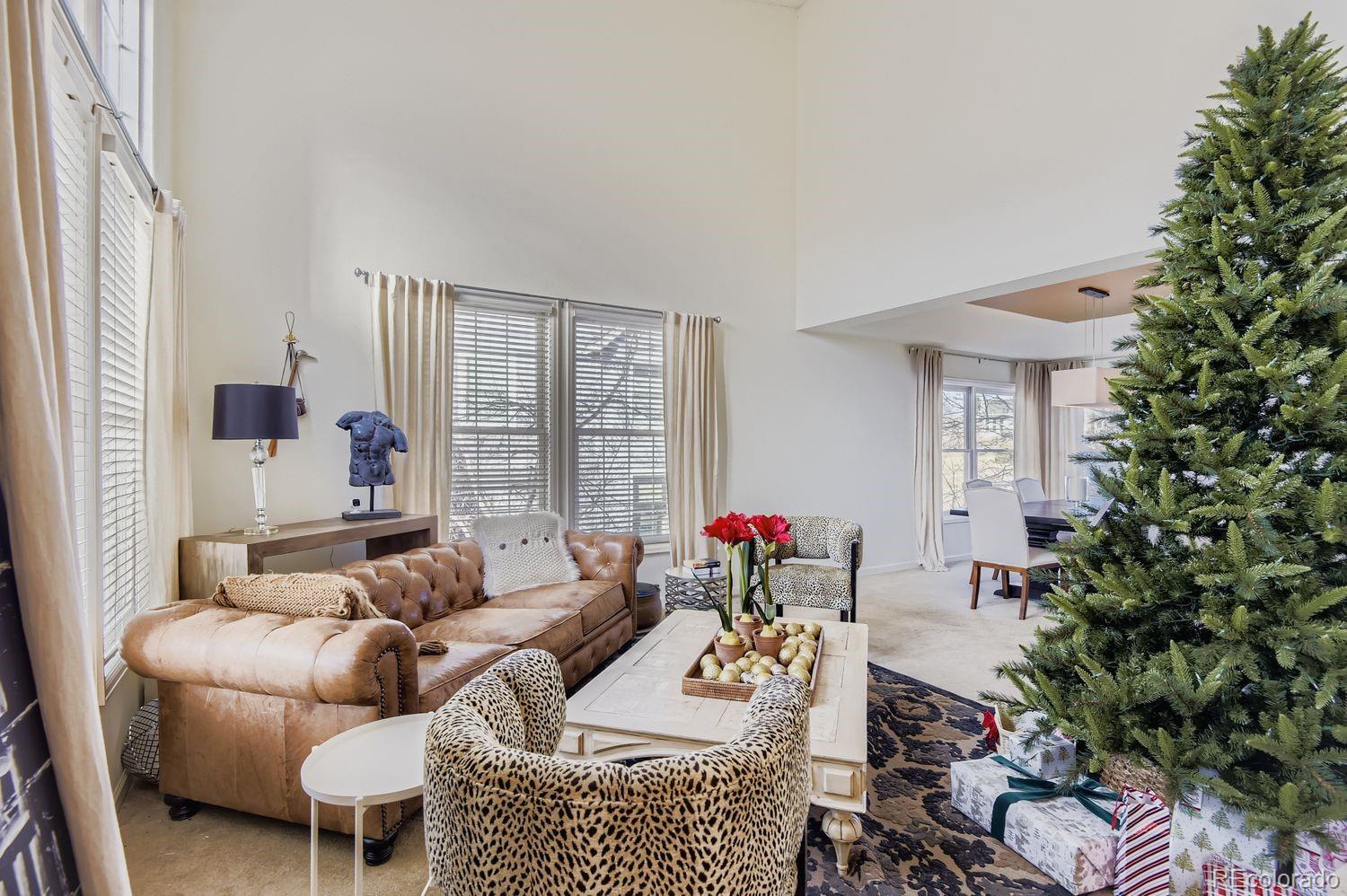 MLS Image #14 for 9603  chesapeake street,highlands ranch, Colorado