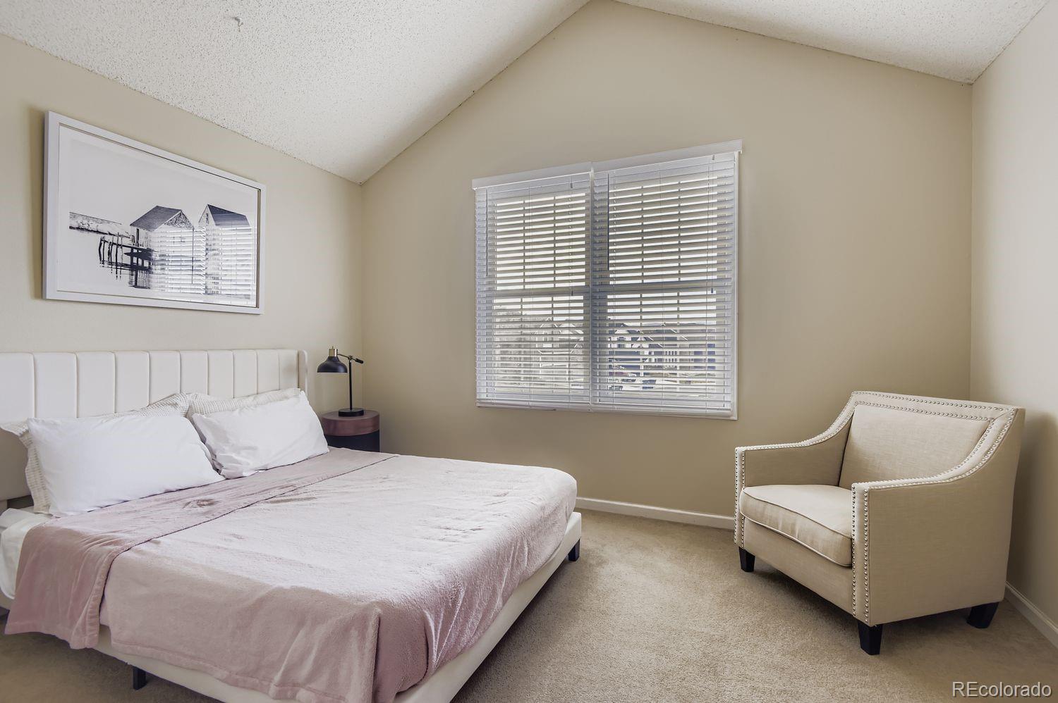 MLS Image #28 for 9603  chesapeake street,highlands ranch, Colorado