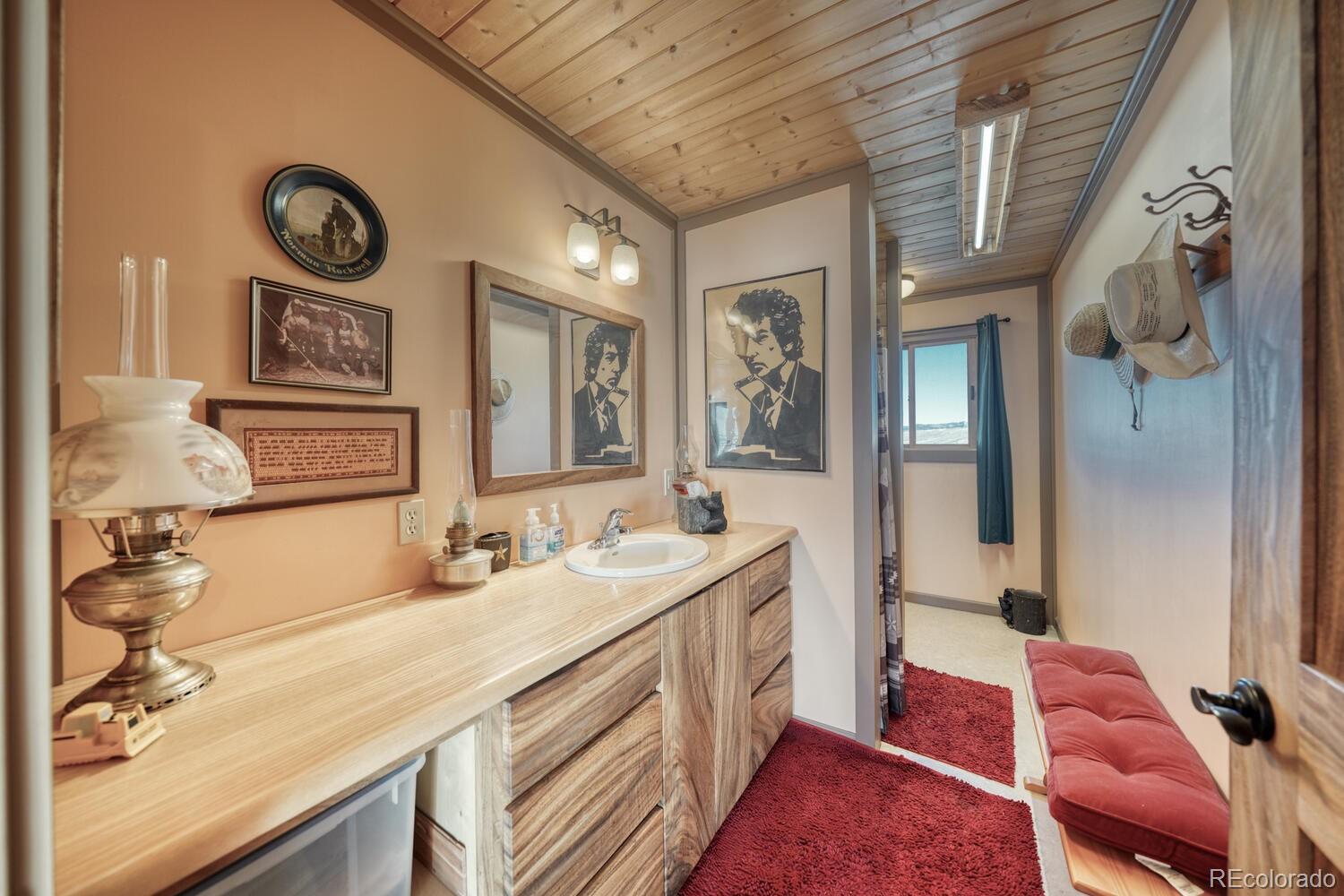 MLS Image #13 for 565  pass peak drive,westcliffe, Colorado