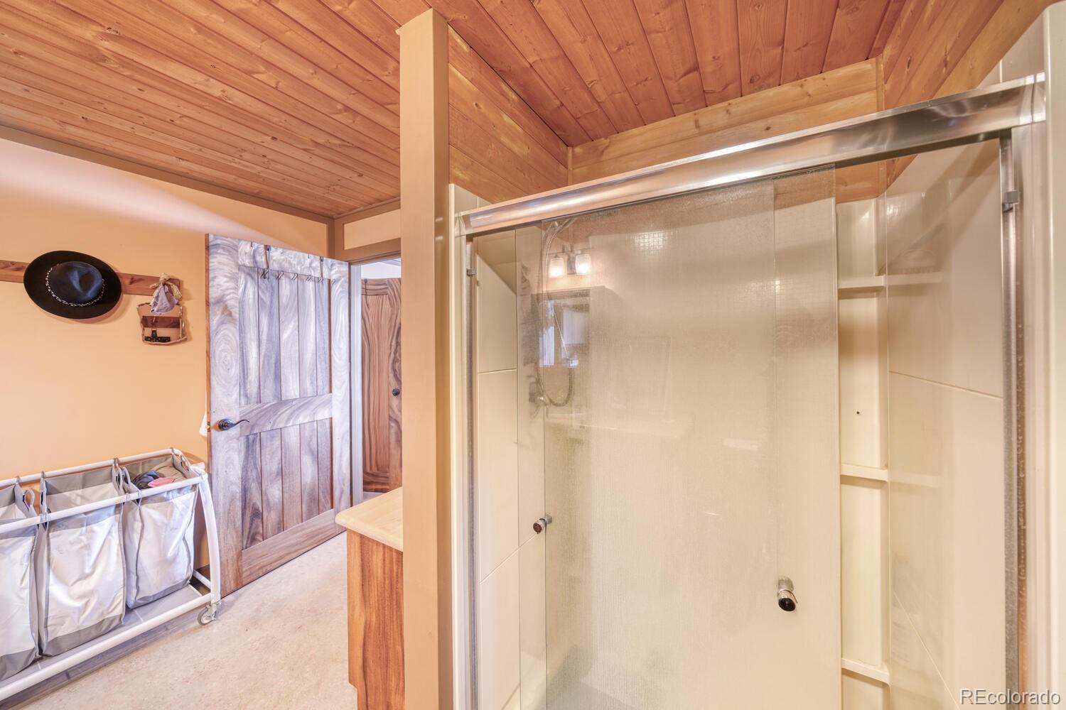MLS Image #16 for 565  pass peak drive,westcliffe, Colorado