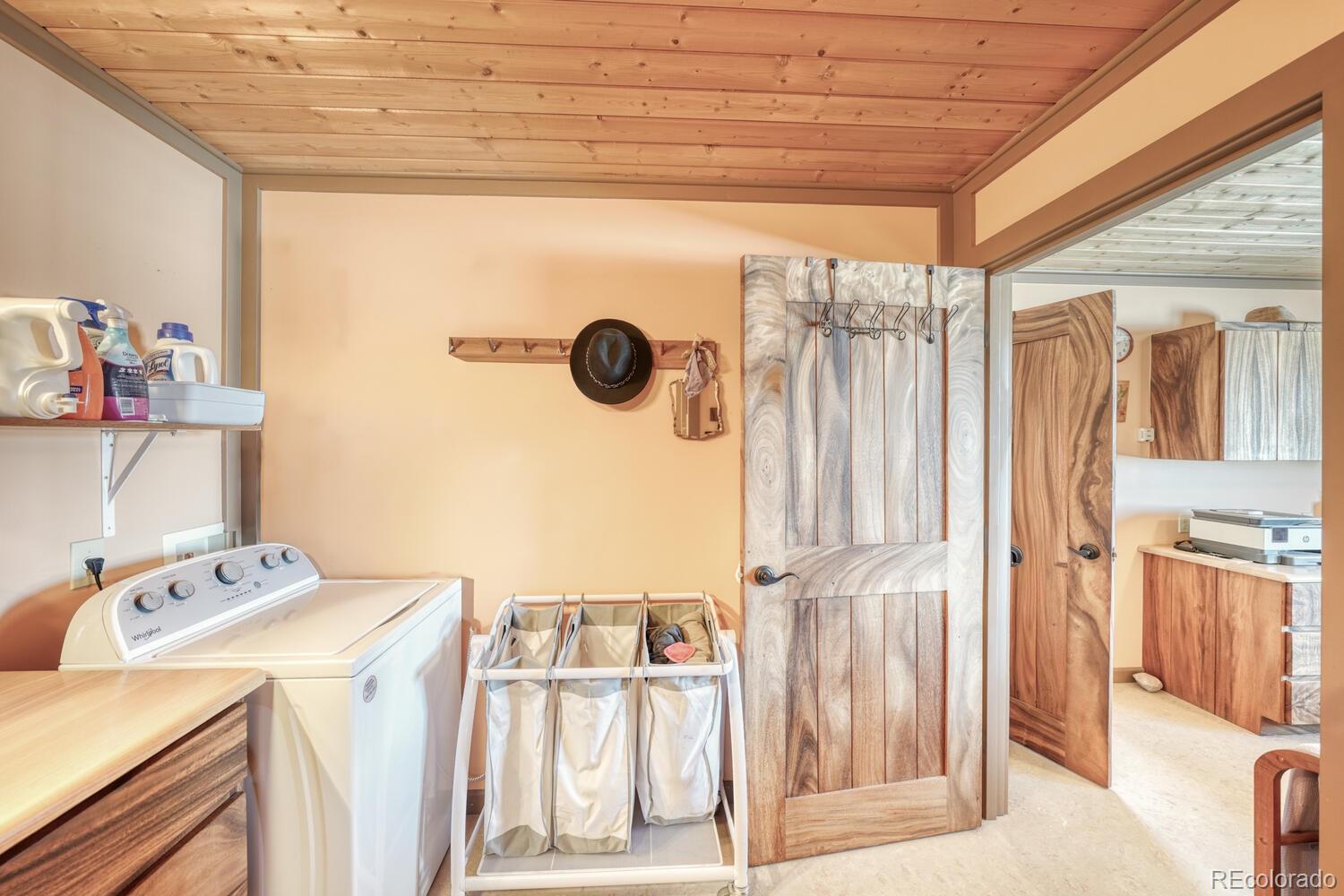 MLS Image #17 for 565  pass peak drive,westcliffe, Colorado