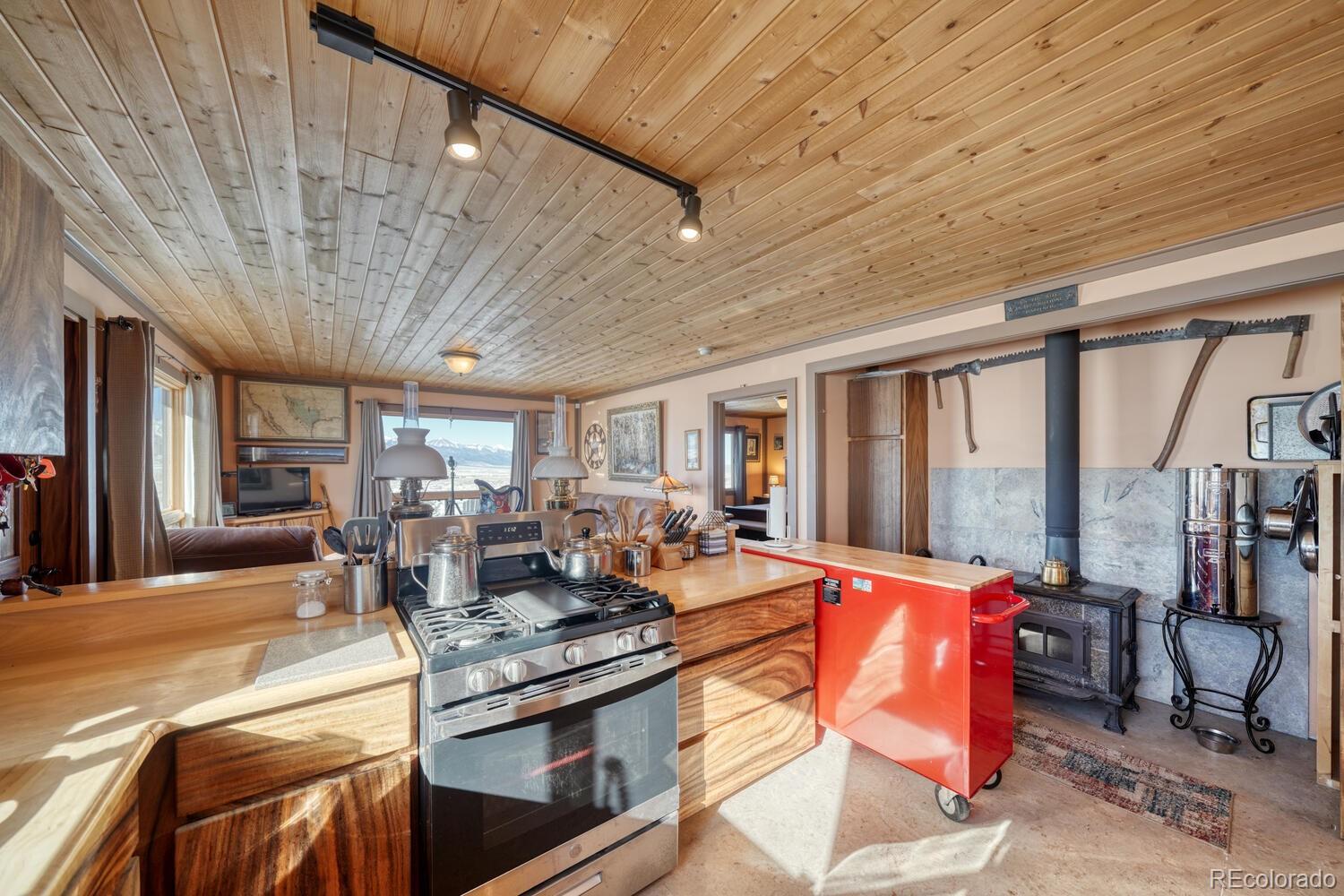 MLS Image #8 for 565  pass peak drive,westcliffe, Colorado