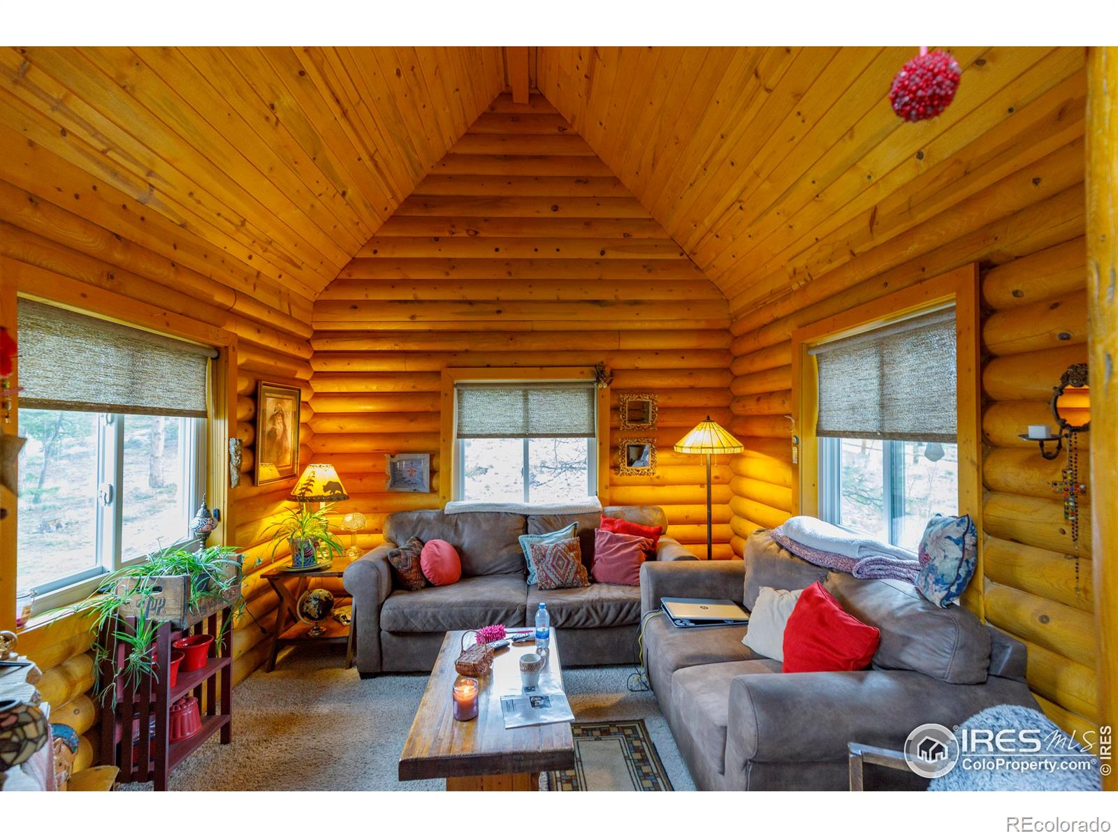 MLS Image #15 for 311  chiricahua circle,red feather lakes, Colorado