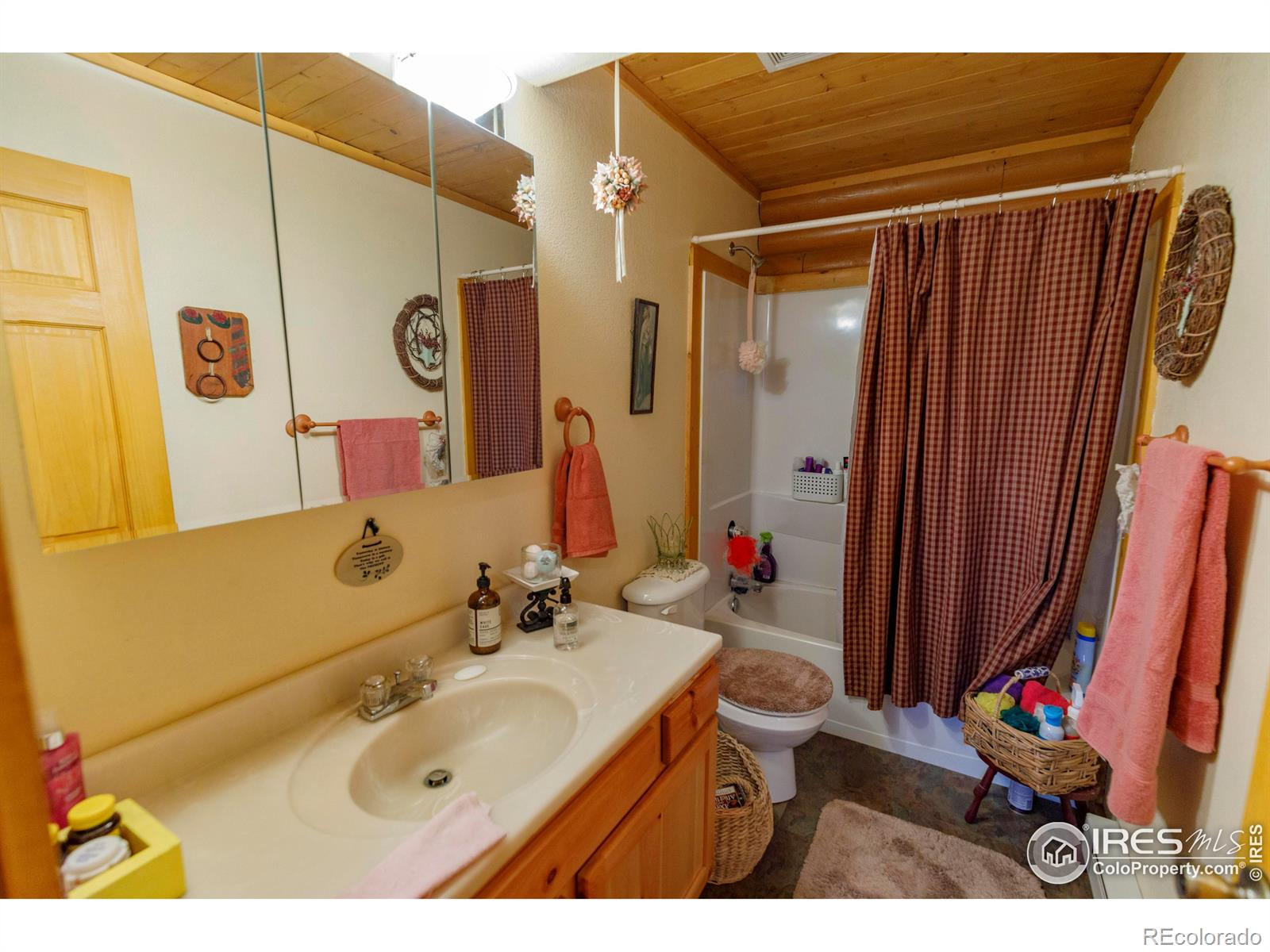 MLS Image #18 for 311  chiricahua circle,red feather lakes, Colorado
