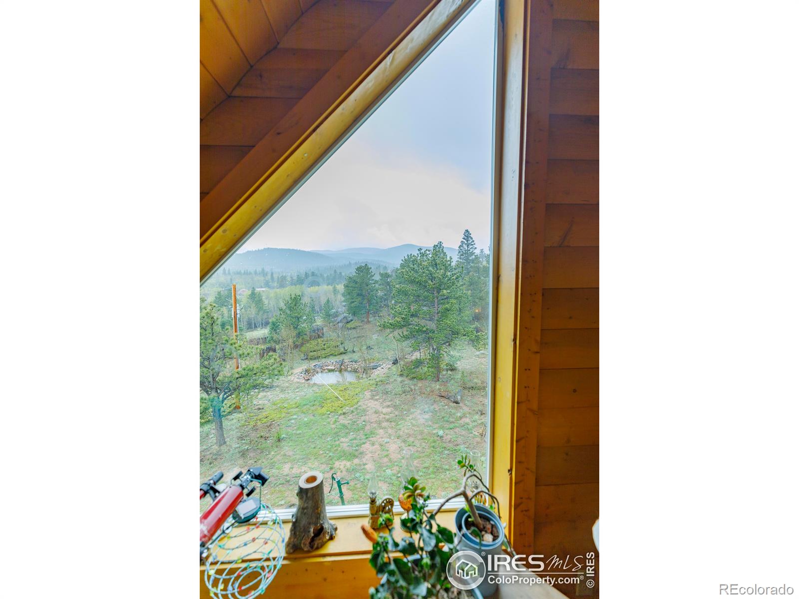 MLS Image #21 for 311  chiricahua circle,red feather lakes, Colorado
