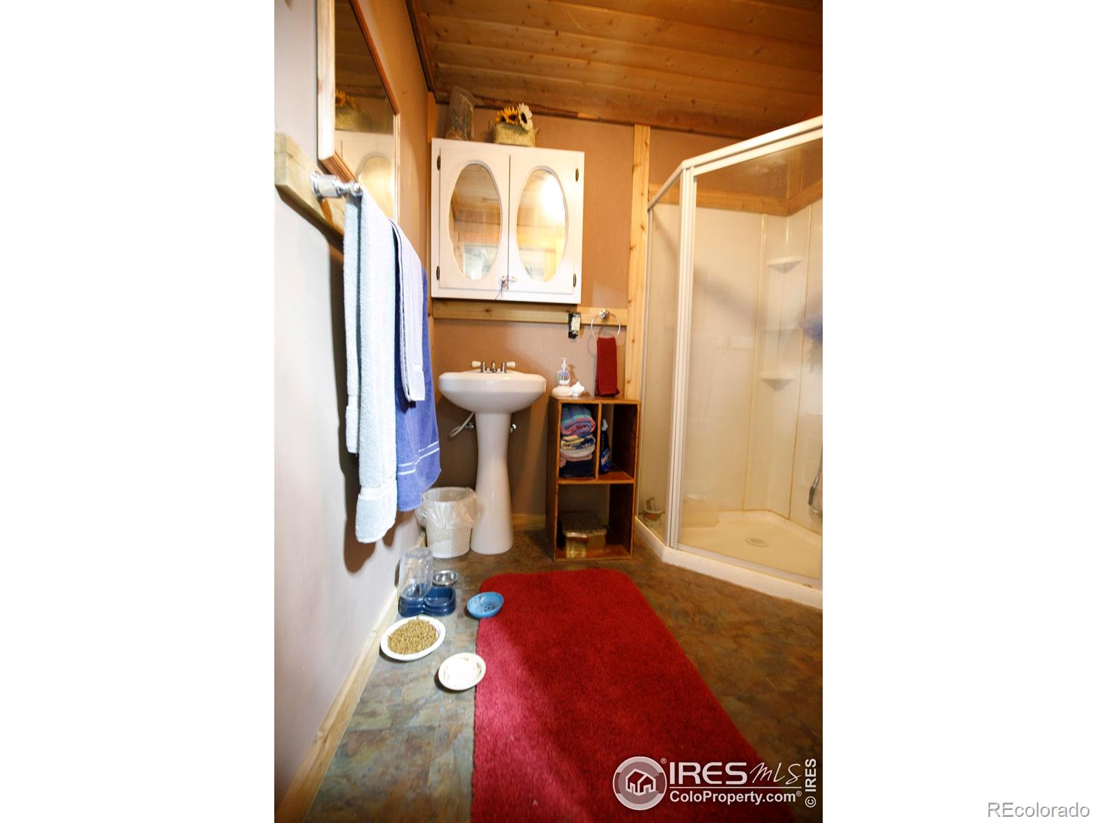 MLS Image #34 for 311  chiricahua circle,red feather lakes, Colorado