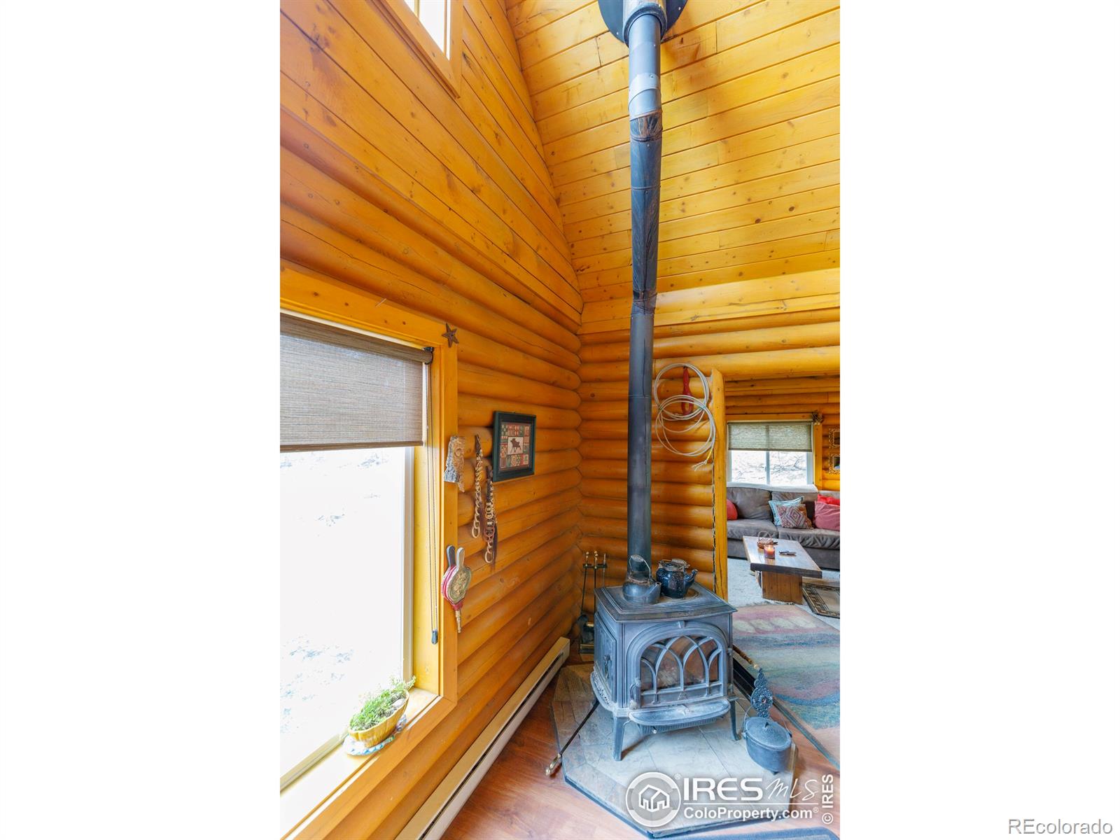 MLS Image #9 for 311  chiricahua circle,red feather lakes, Colorado