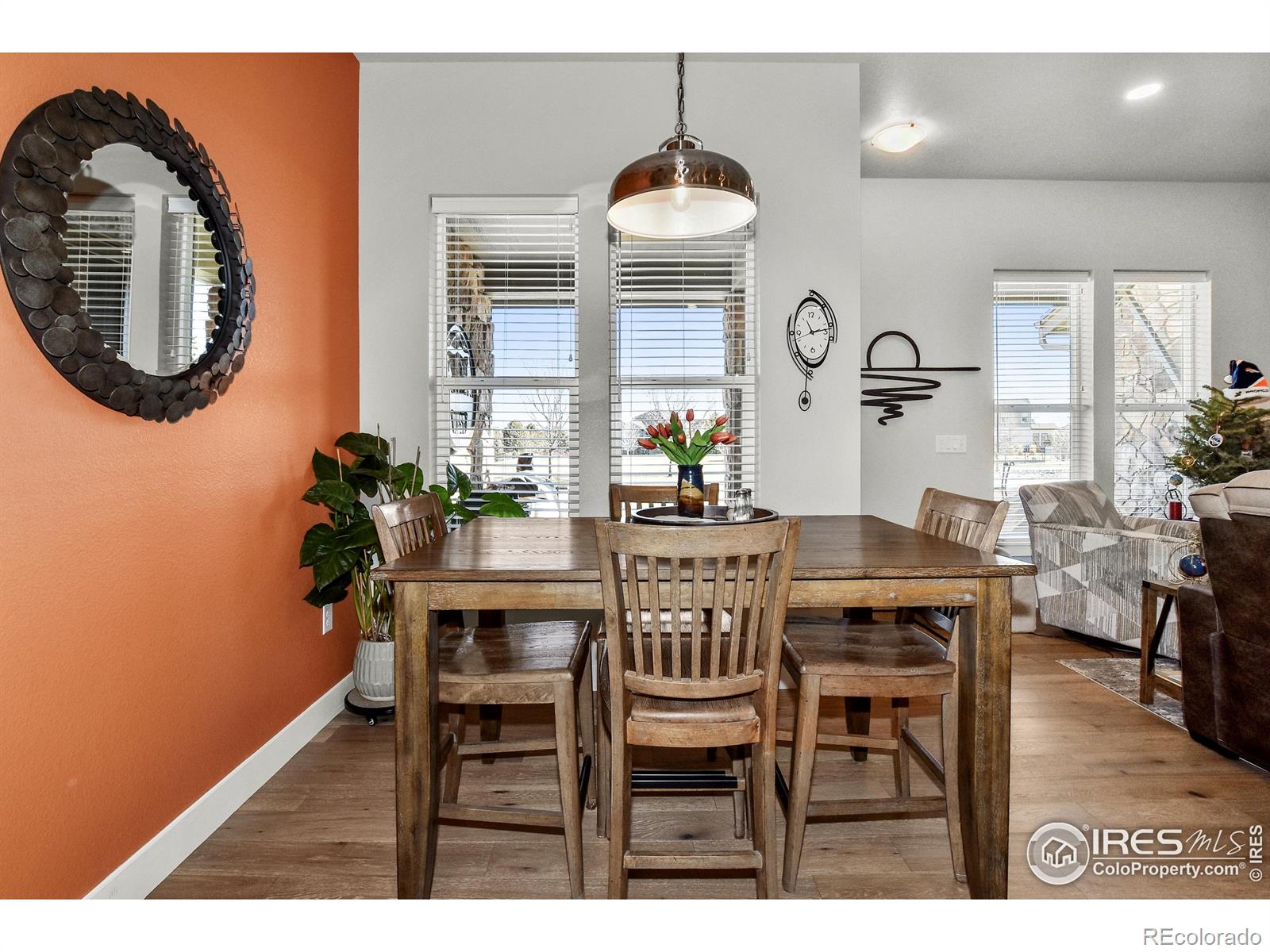 MLS Image #17 for 6245  vernazza way,windsor, Colorado