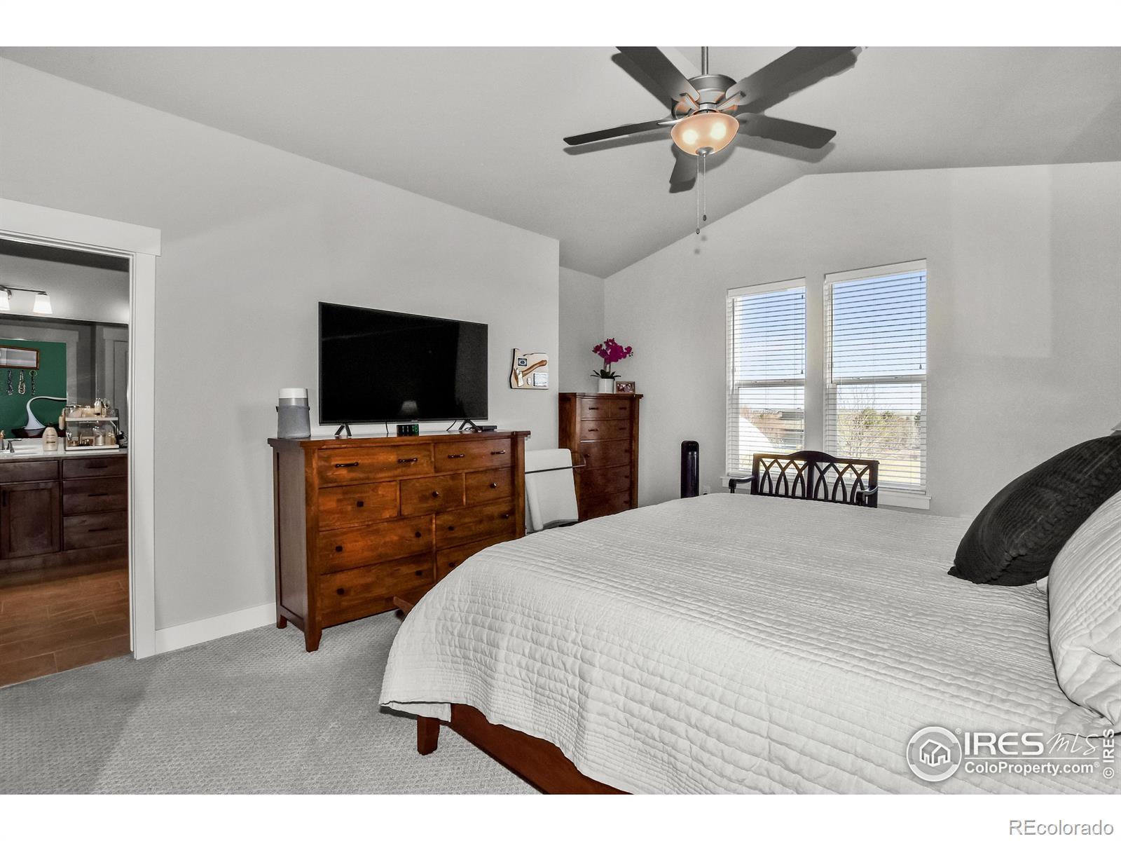 MLS Image #22 for 6245  vernazza way,windsor, Colorado