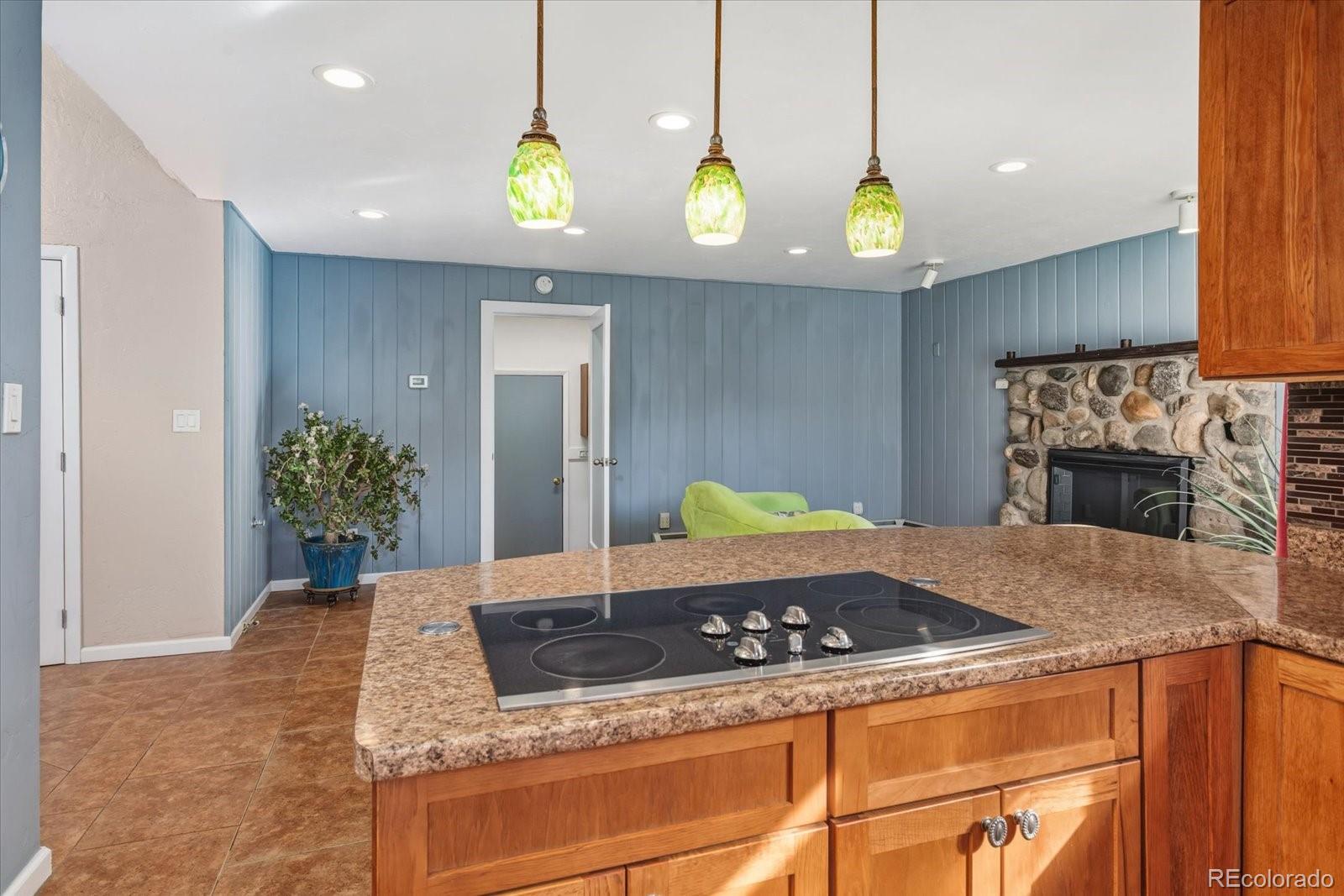 MLS Image #18 for 1247  j street,salida, Colorado