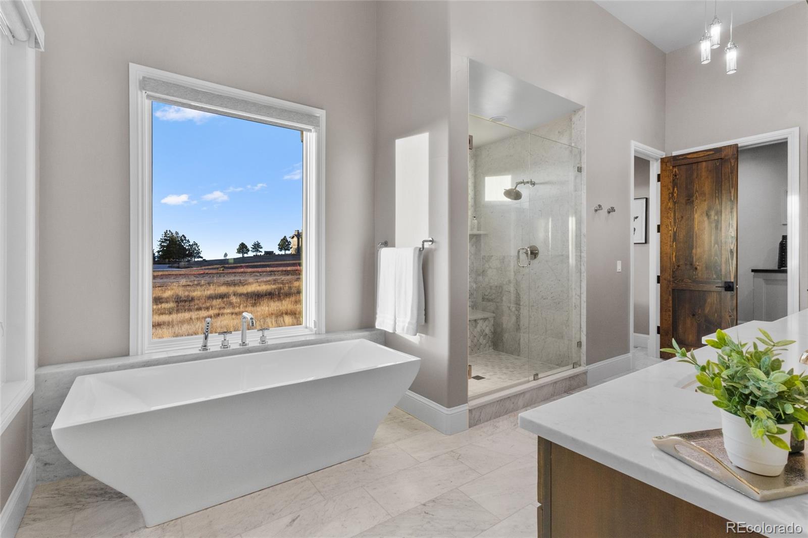 MLS Image #22 for 8436  lost reserve court,parker, Colorado