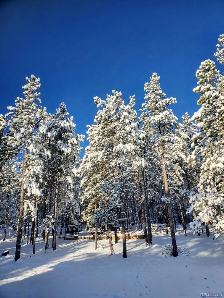 MLS Image #34 for 388  sequoia drive,twin lakes, Colorado