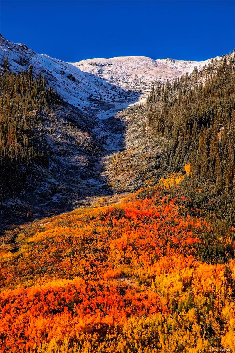 MLS Image #47 for 388  sequoia drive,twin lakes, Colorado