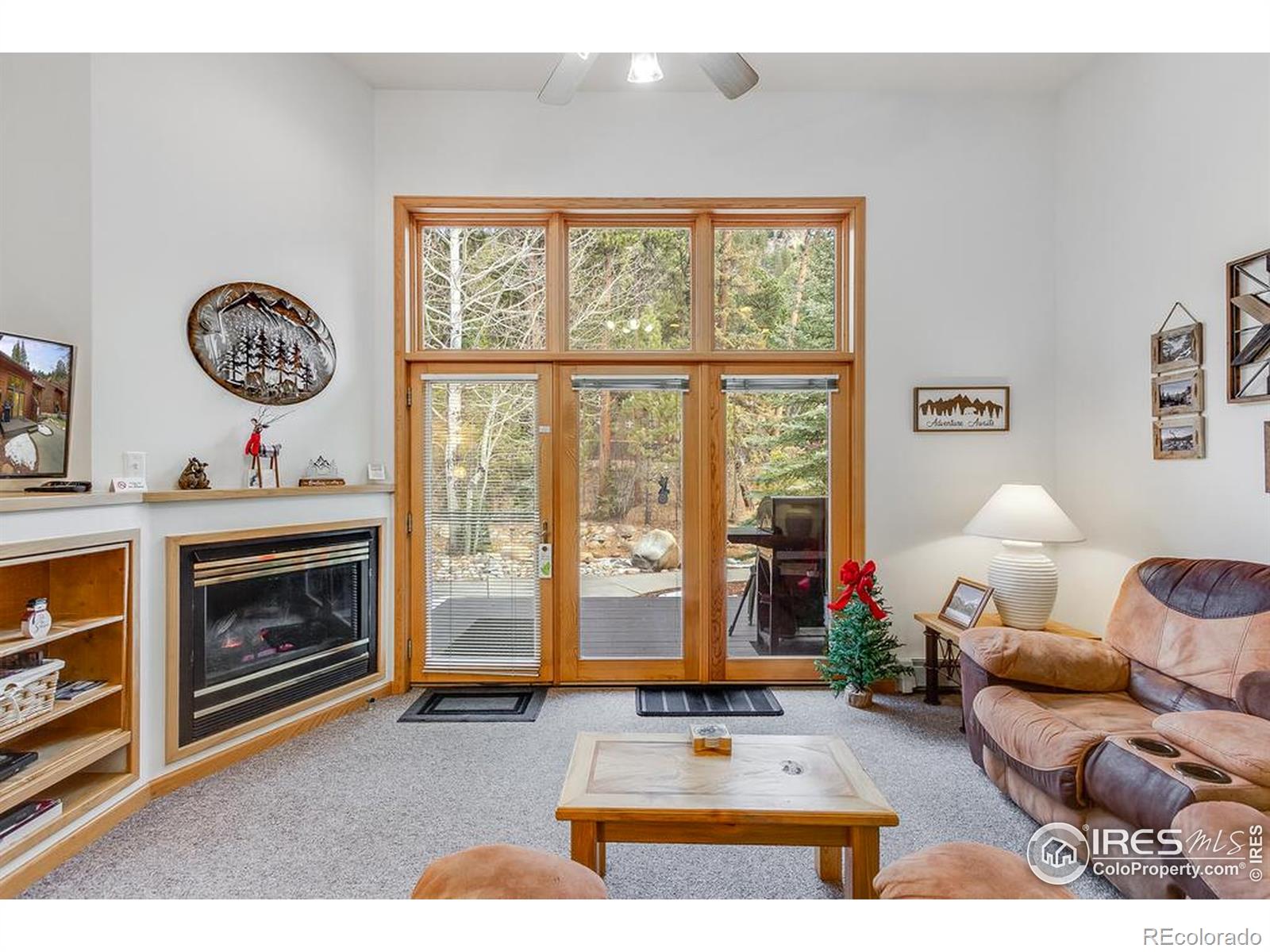 MLS Image #12 for 2120  fall river road,estes park, Colorado