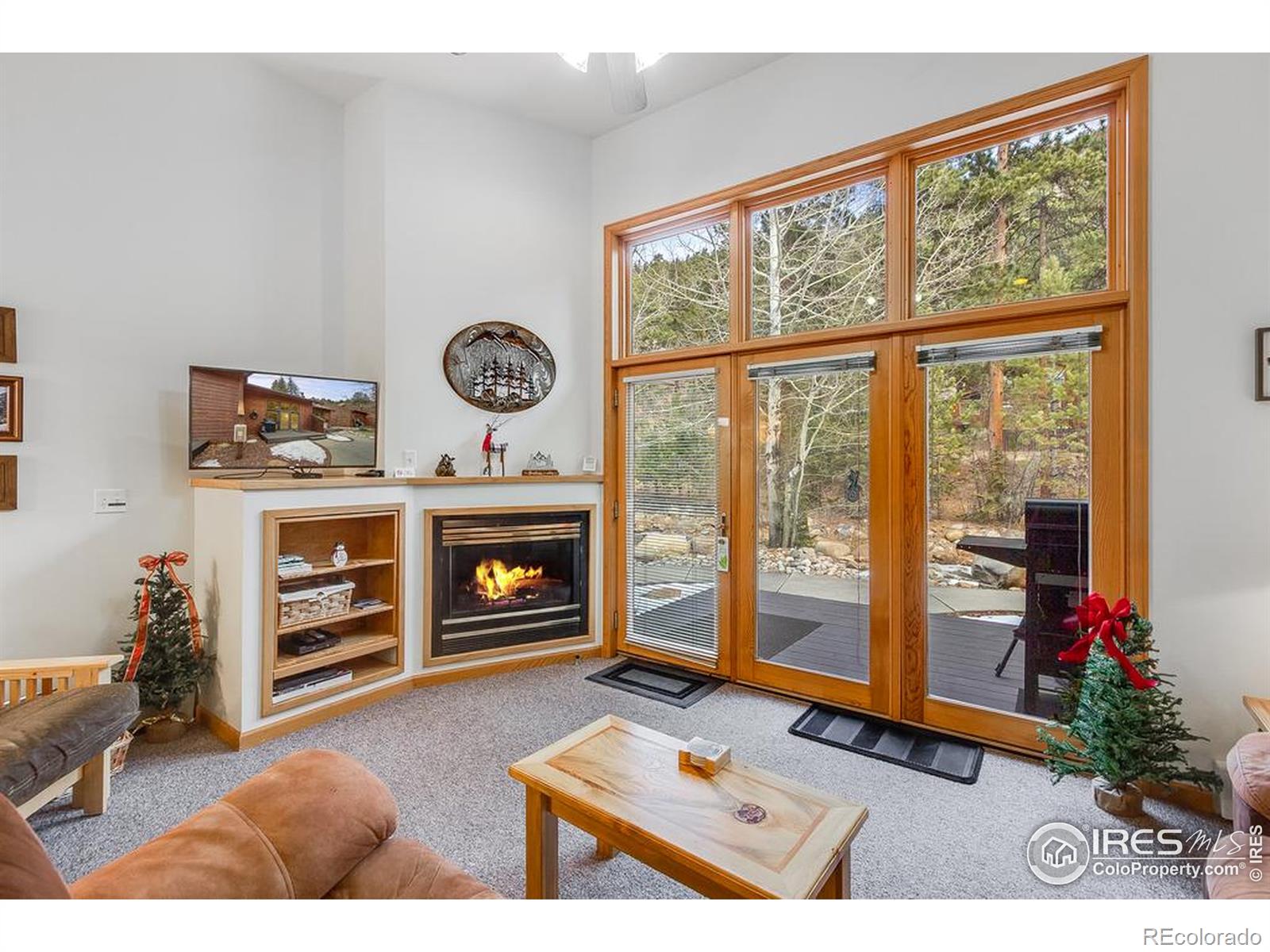 MLS Image #15 for 2120  fall river road,estes park, Colorado