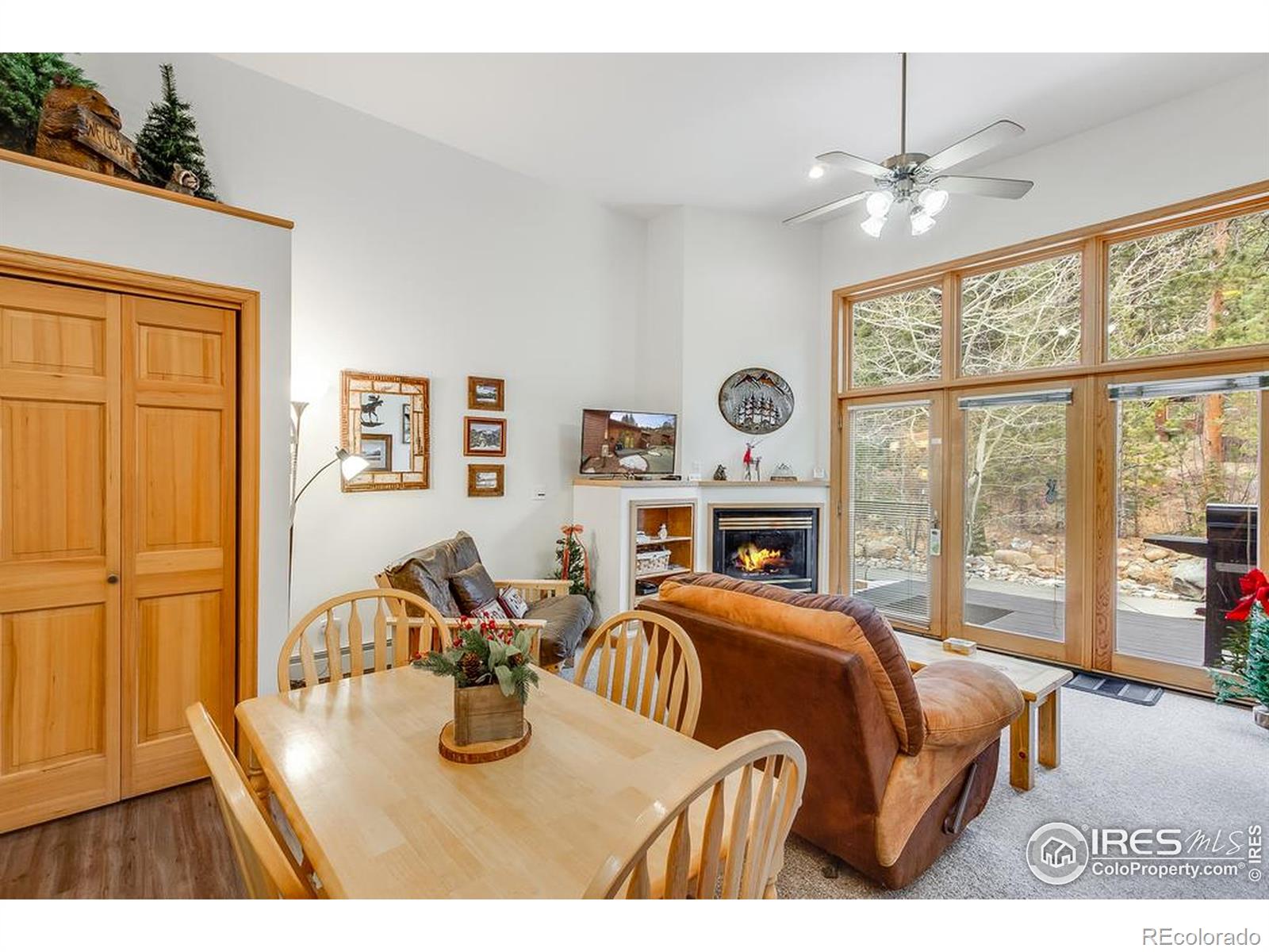 MLS Image #20 for 2120  fall river road,estes park, Colorado